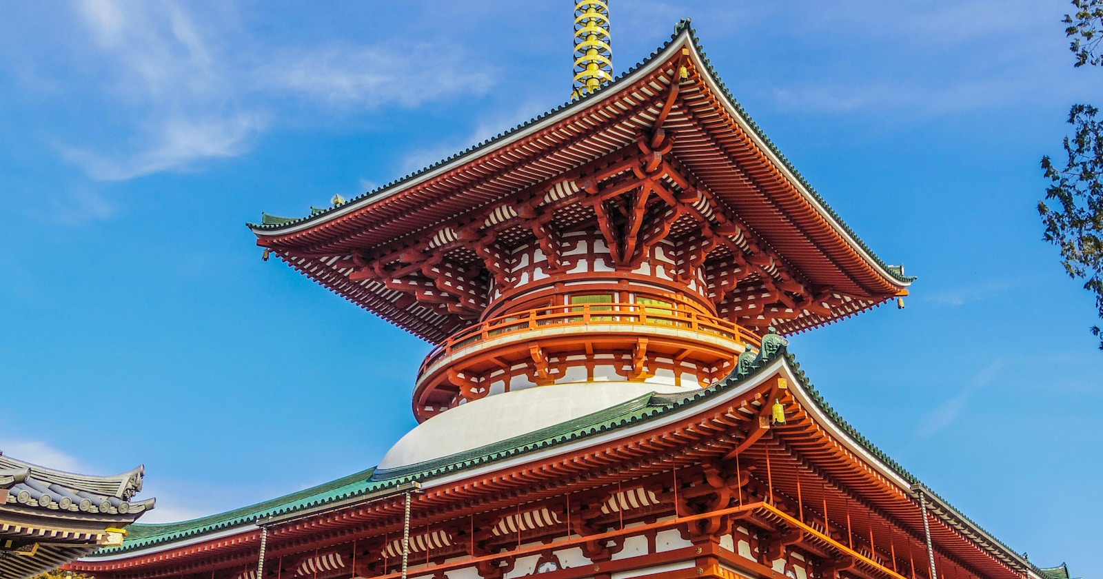 Vé Seishun 18 - Chiba | Điểm đến thú vị trong ngày từ Tokyo | Focus #278