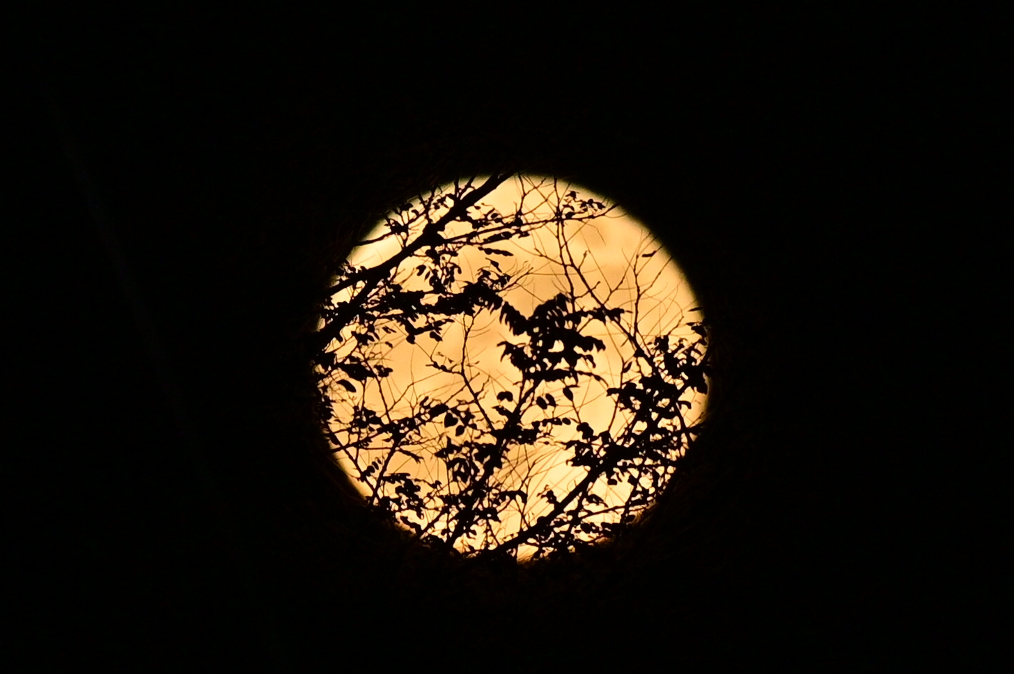 2026-09-moon-cover-image