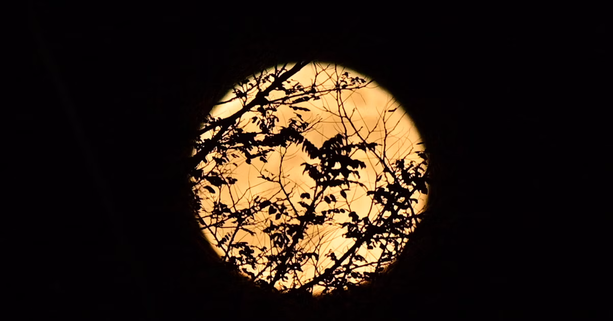 #moon | Moonlight Connecting Night and Everyday Landscapes | Focus #733