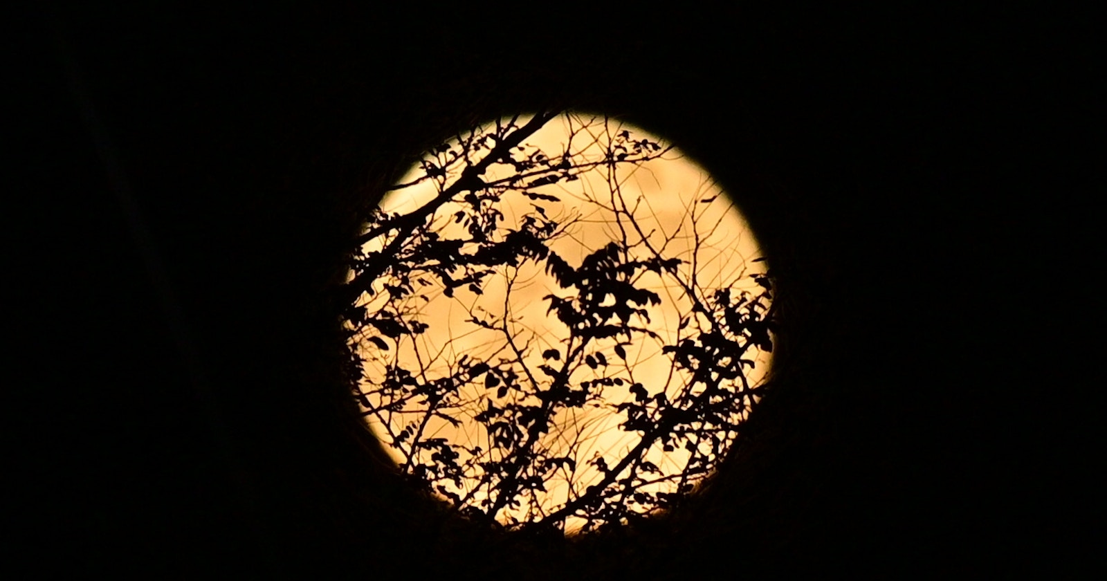 #moon | Moonlight Connecting Night and Everyday Landscapes | Focus #733