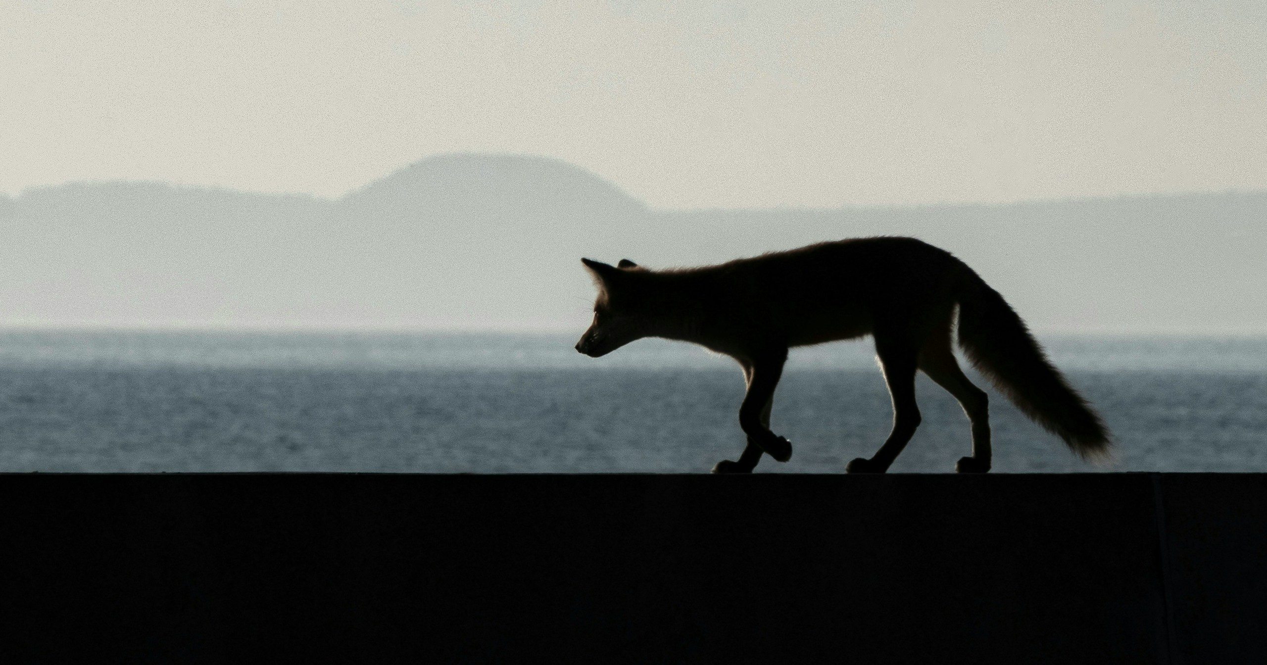 Conoscere le regole e esprimersi liberamente per perfezionare la composizione fotografica | Knowledge #162