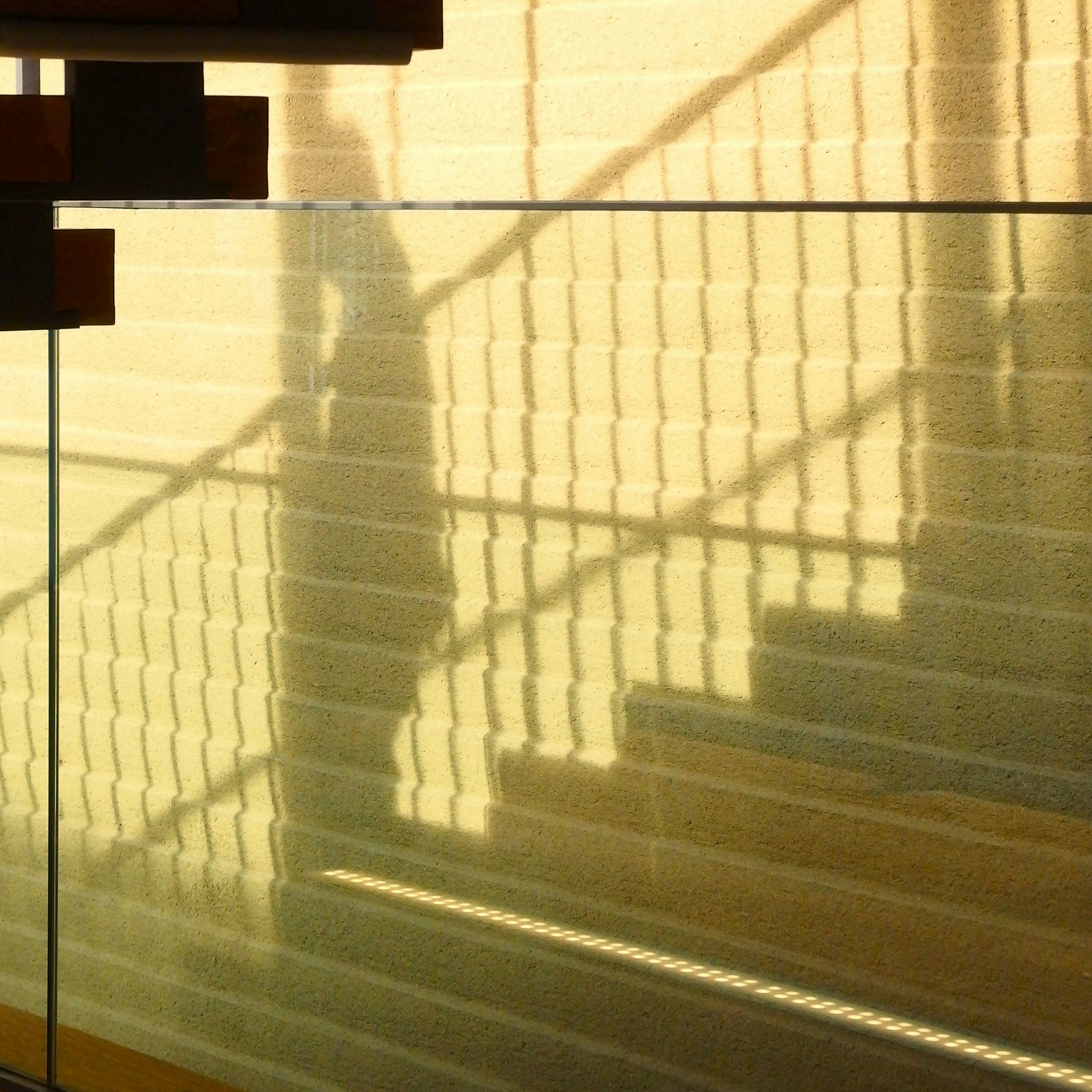 2026-01-shadow-report-image-5