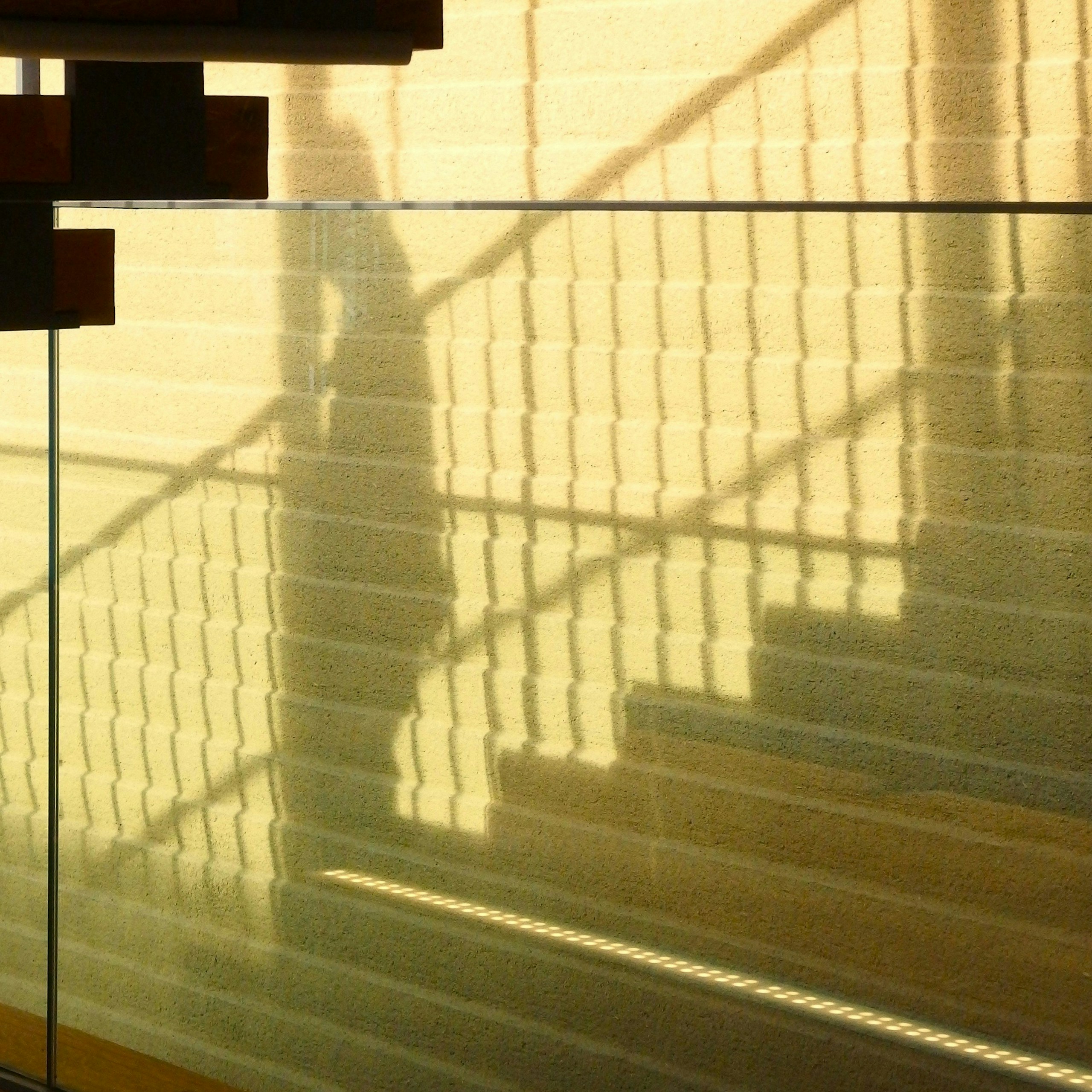 2026-01-shadow-report-image-5