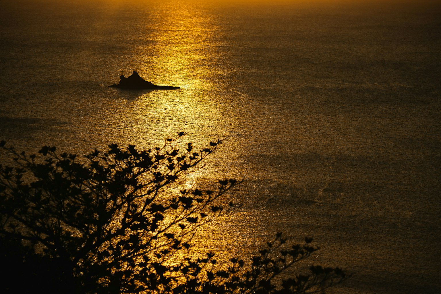 2025-05-pick-up-photos-no-109-113-image-9