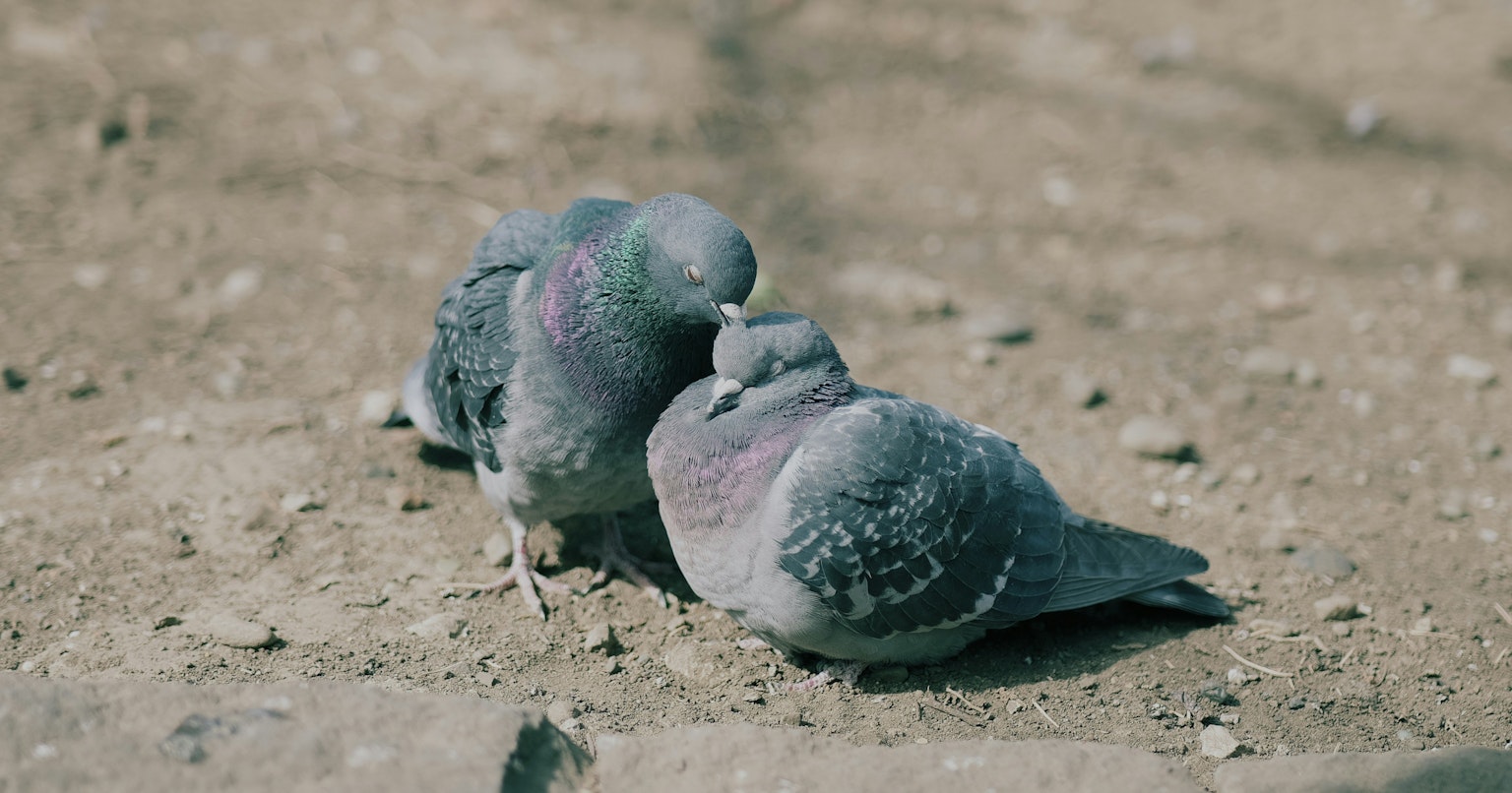 2025-03-photo-contest-pr-1-cover-image