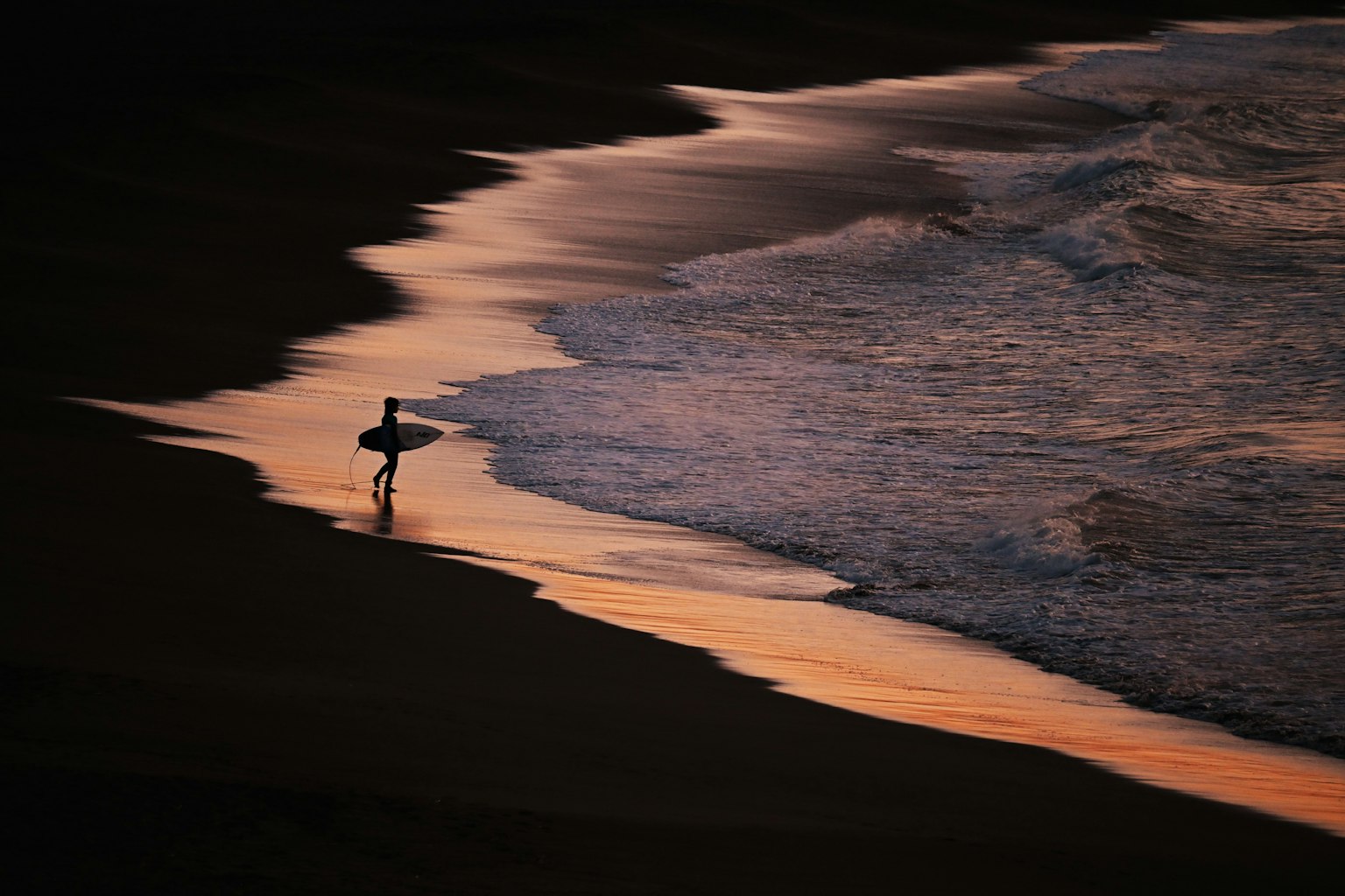 2024-04-sunlight-stories-image-4