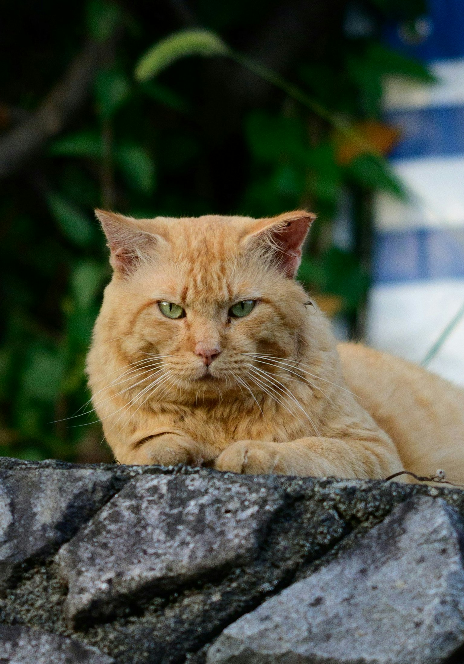 2025-11-centered-composition-report-image-9