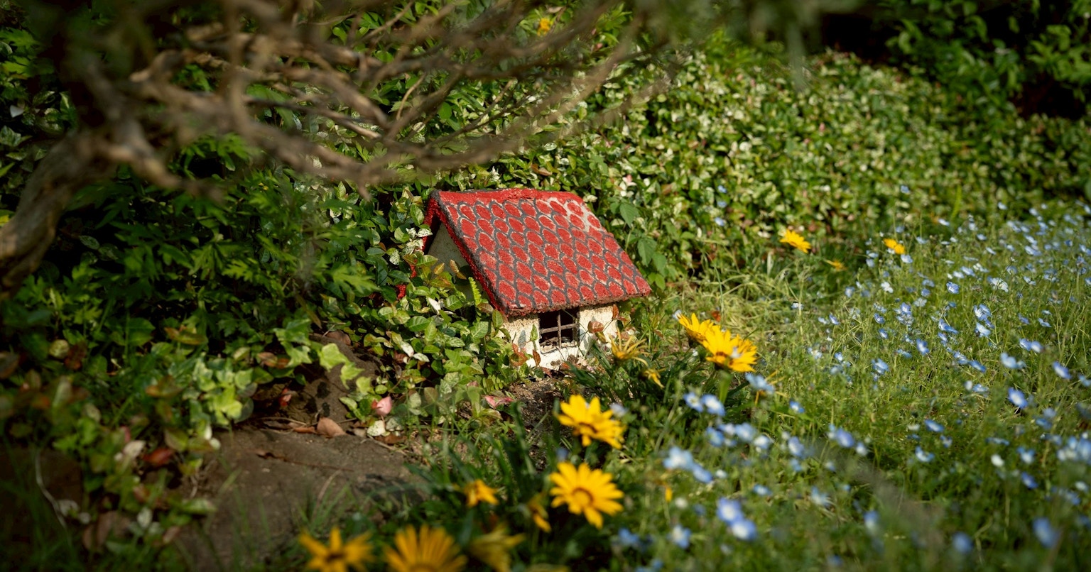 2025-09-parks-vibes-cover-image