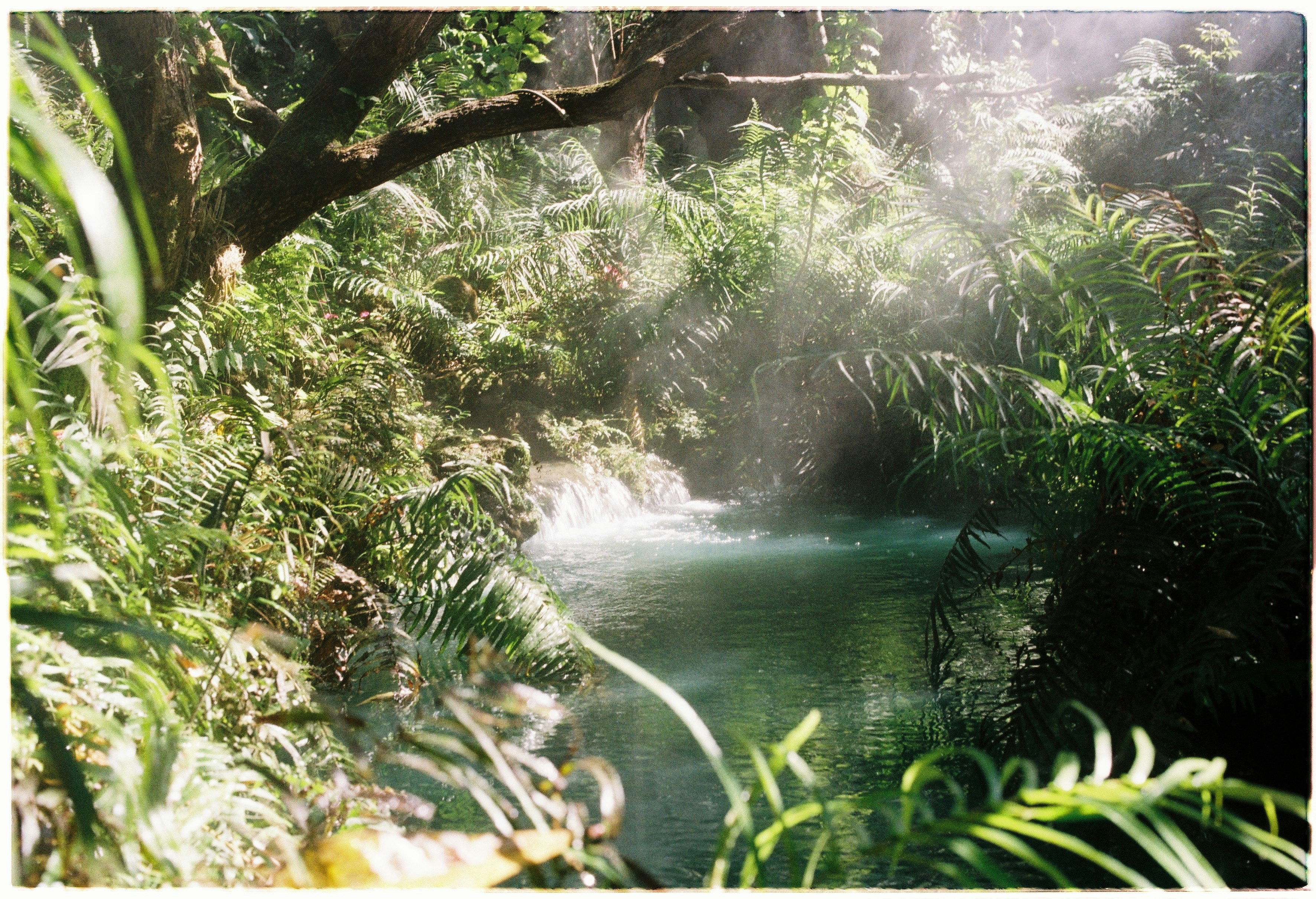 2026-02-kodak-ektachrome-distribution-image-4