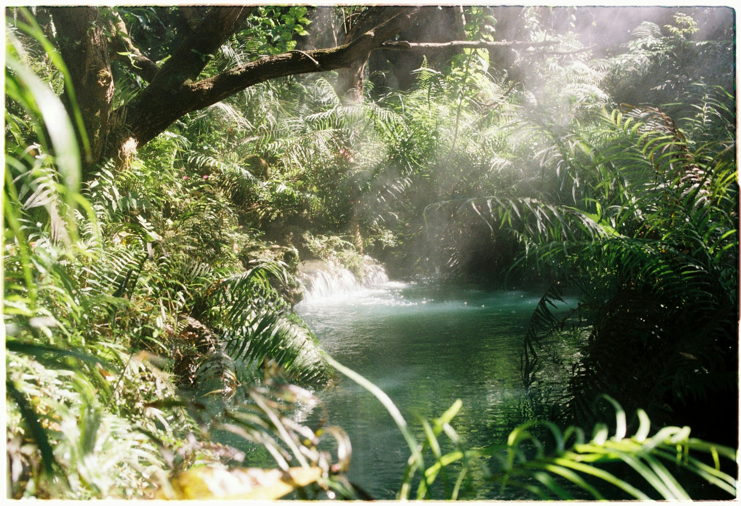 2026-02-kodak-ektachrome-distribution-image-4