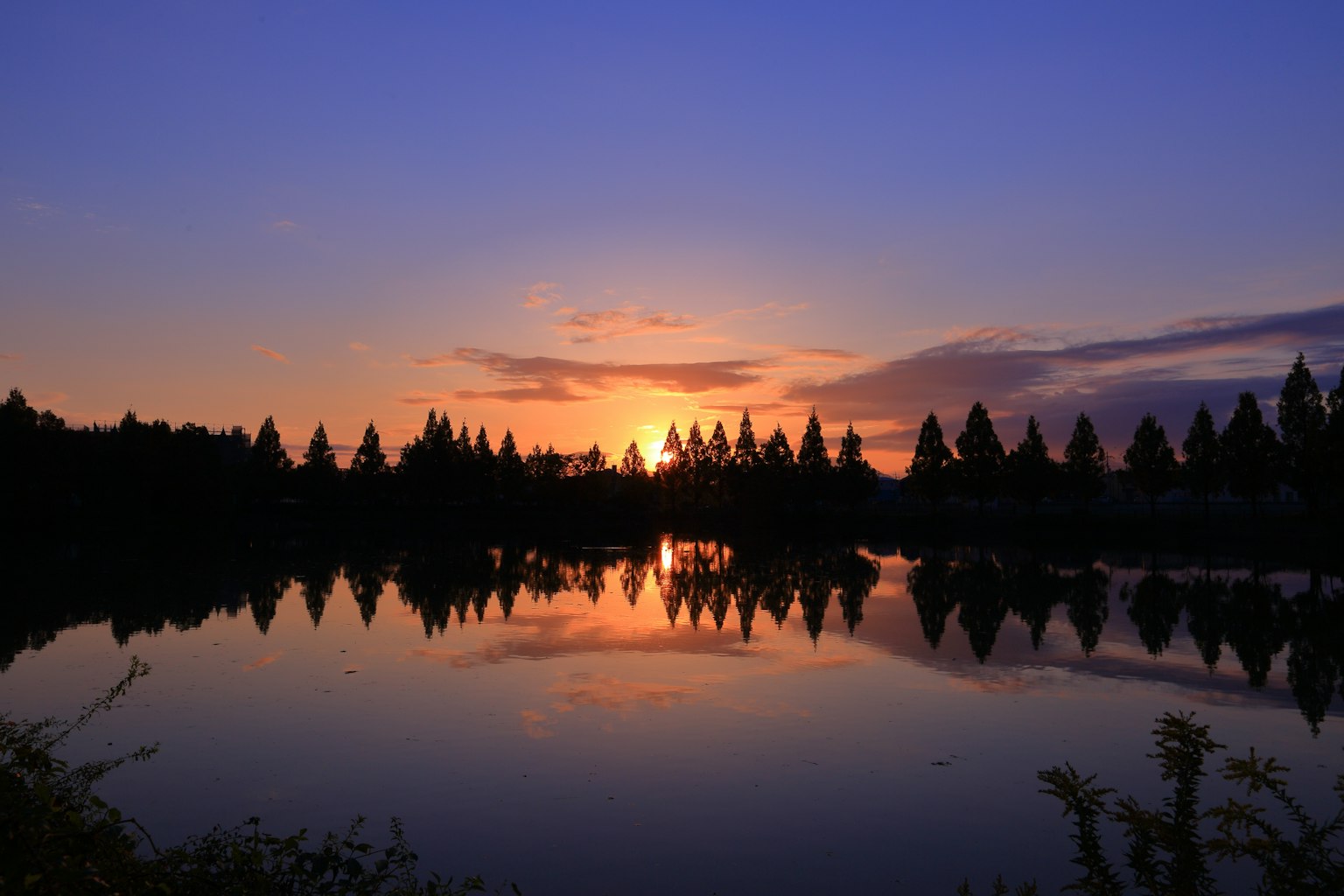 2023-12-sakai-colorful-journey-image-6