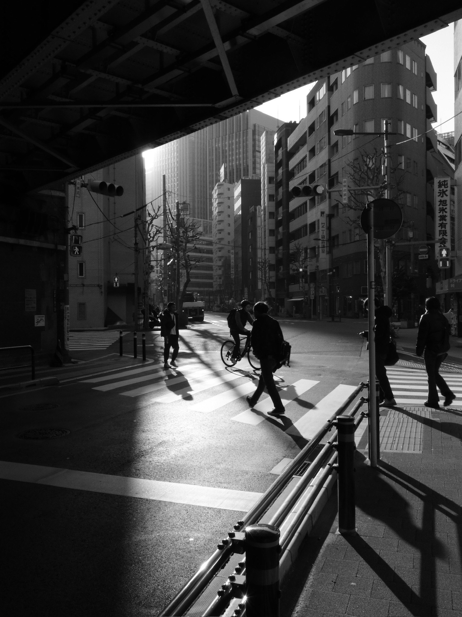 2026-01-shadow-report-image-9