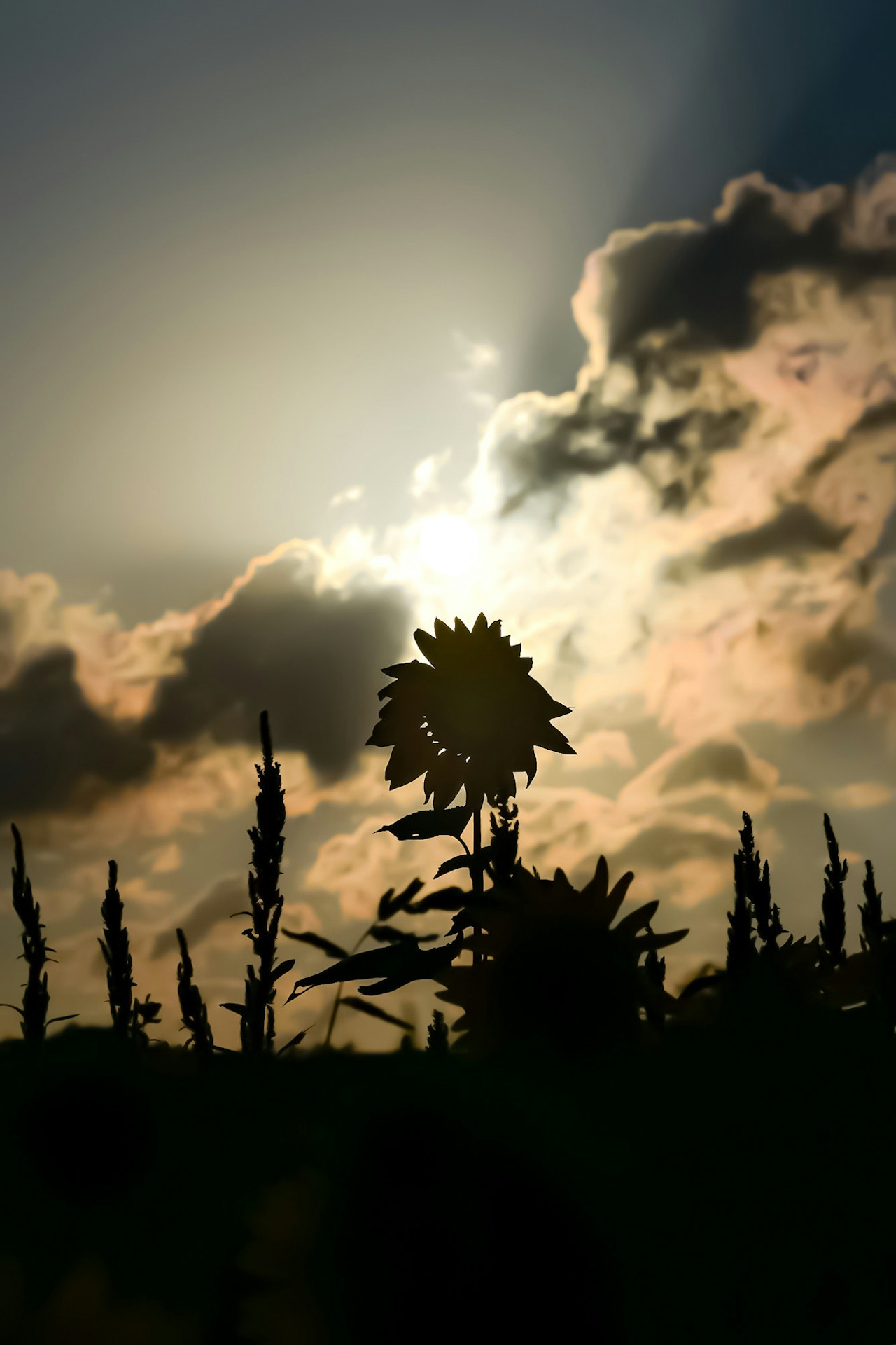 Image by kattsu