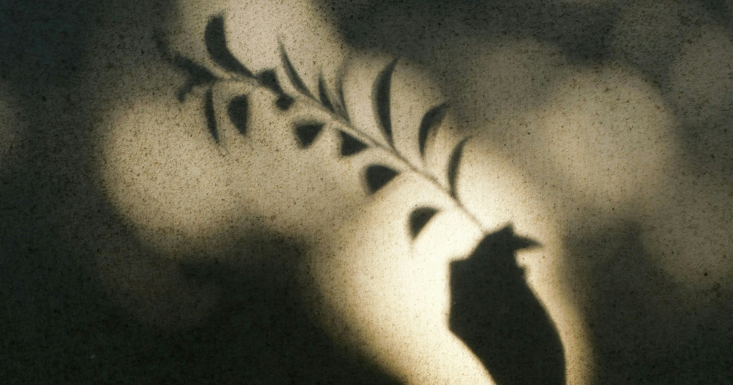 【Open Call】Ottobre a Osaka | Esponi la tua fotografia in formato poster | Release #909