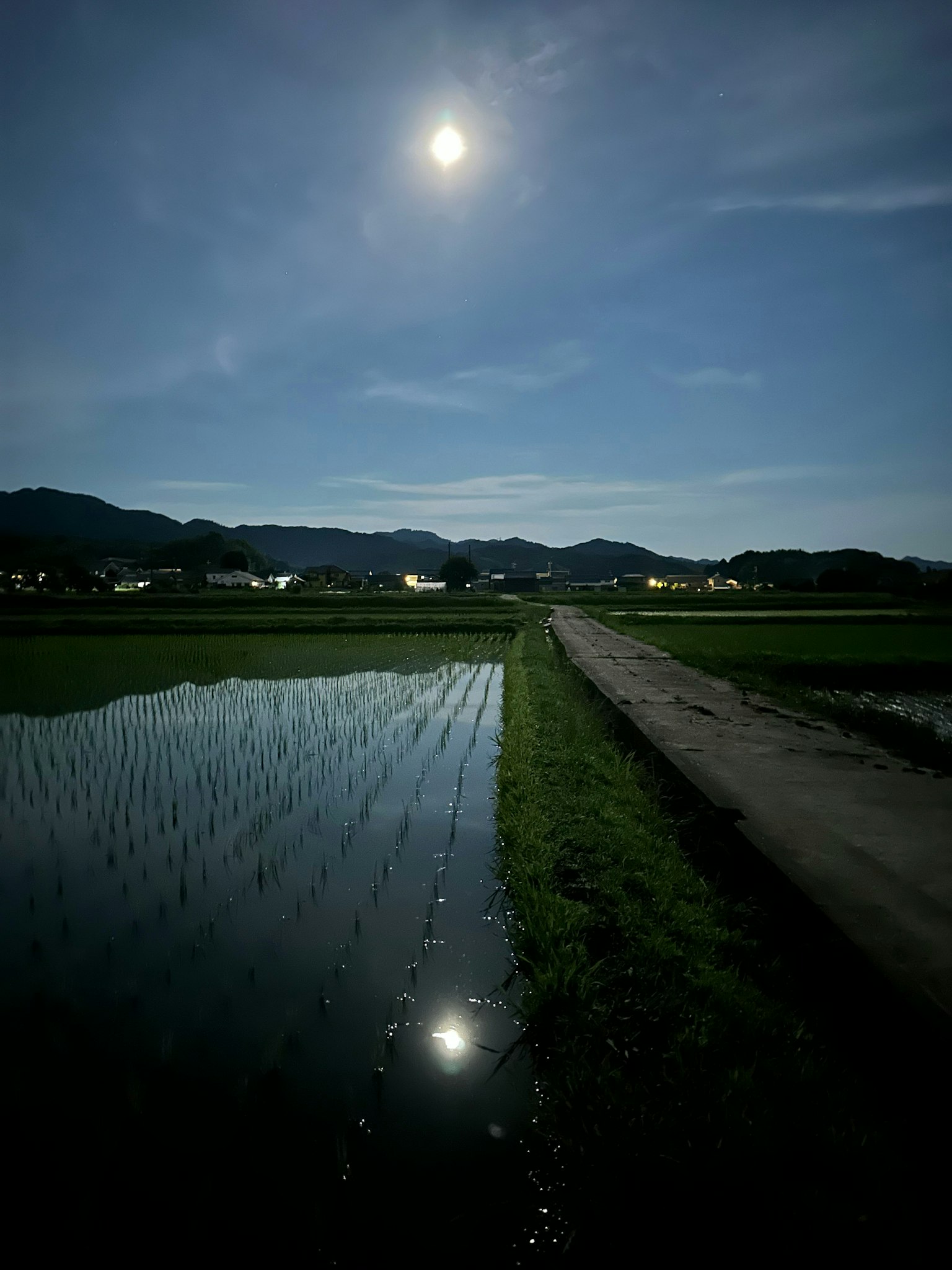 2025-08-night-cruising-image-10