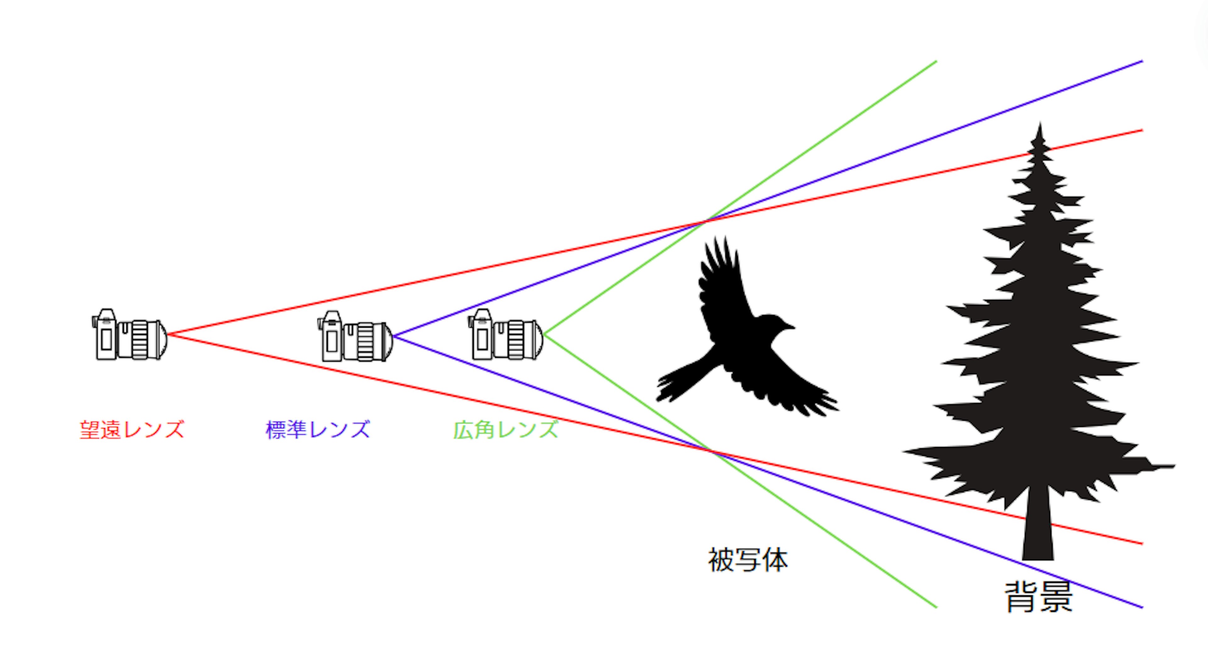 2024-08-compression-effect-image-7