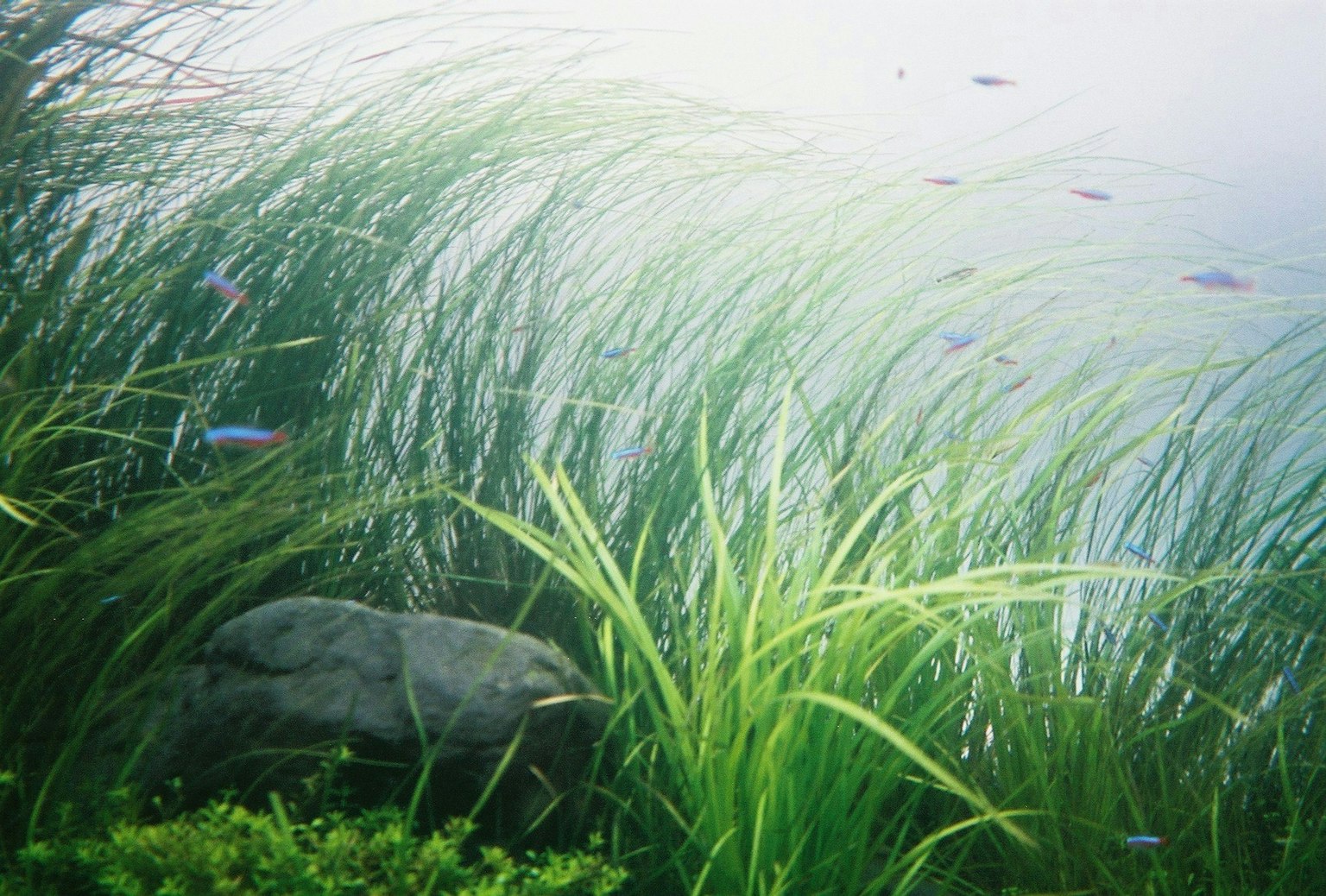 2025-02-pick-up-photos-no-49-53-image-7