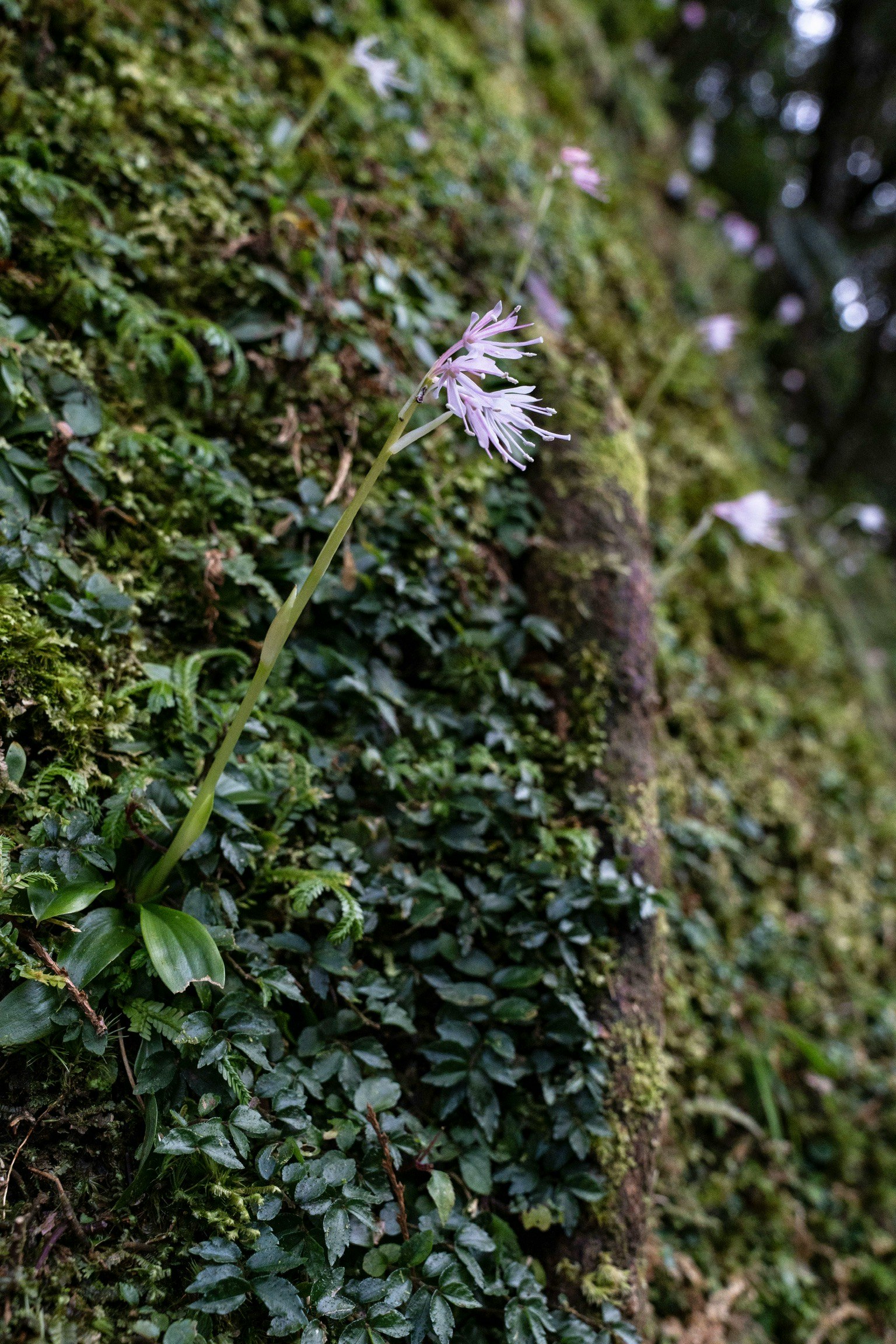 2026-04-bloom-report-image-9