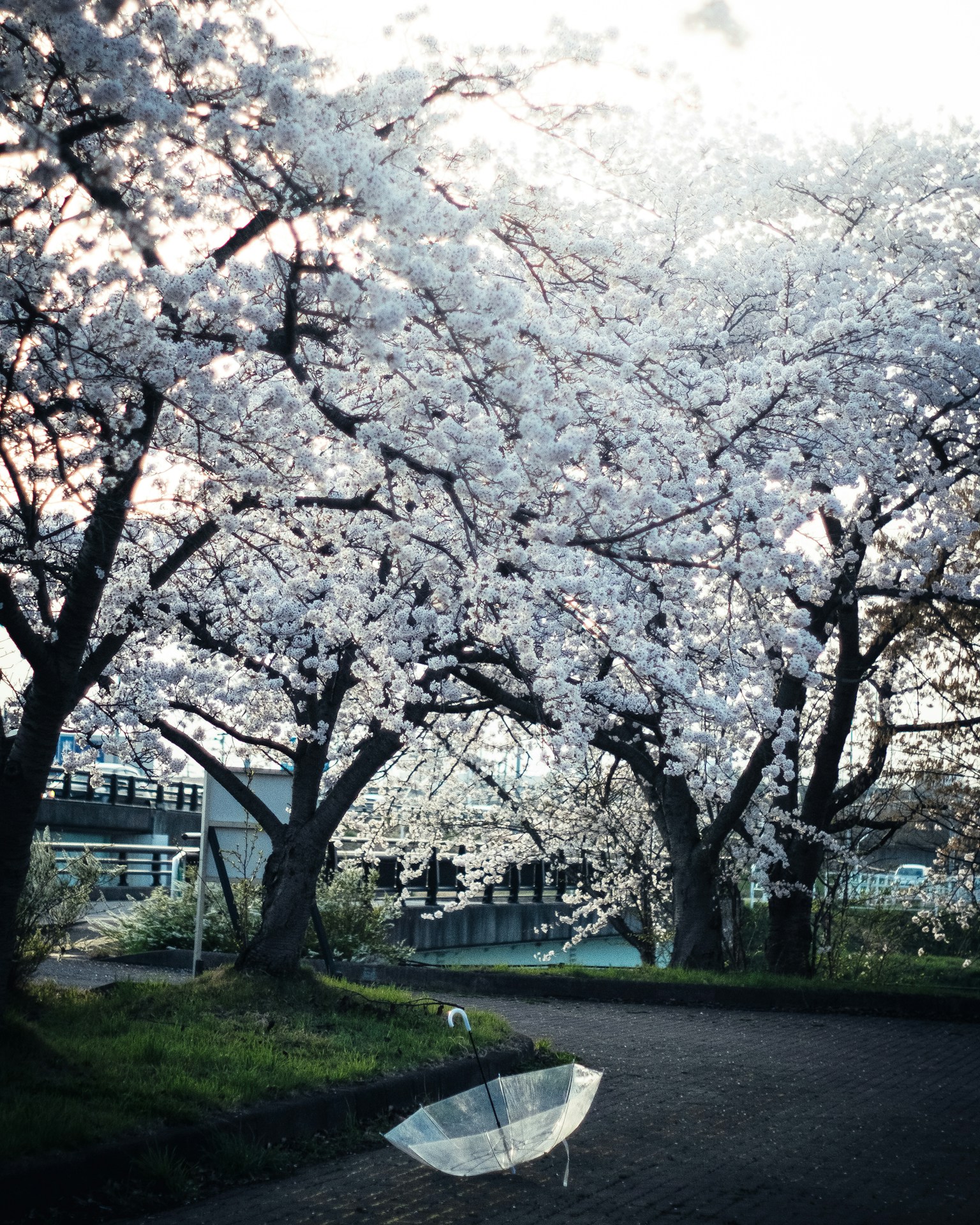 2024-05-fujifilm-simulation-image-4