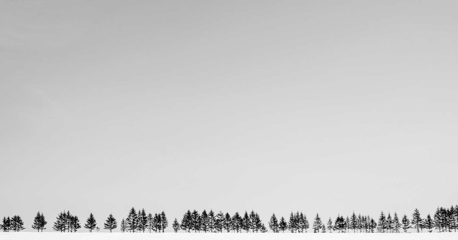 2024-03-image-to-image-cover-image