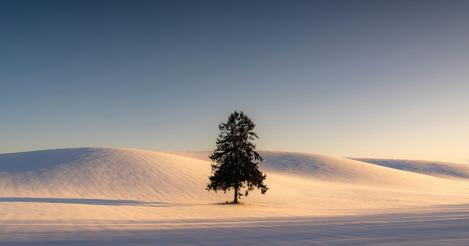 2025-11-ppp-in-sapporo-cover-image