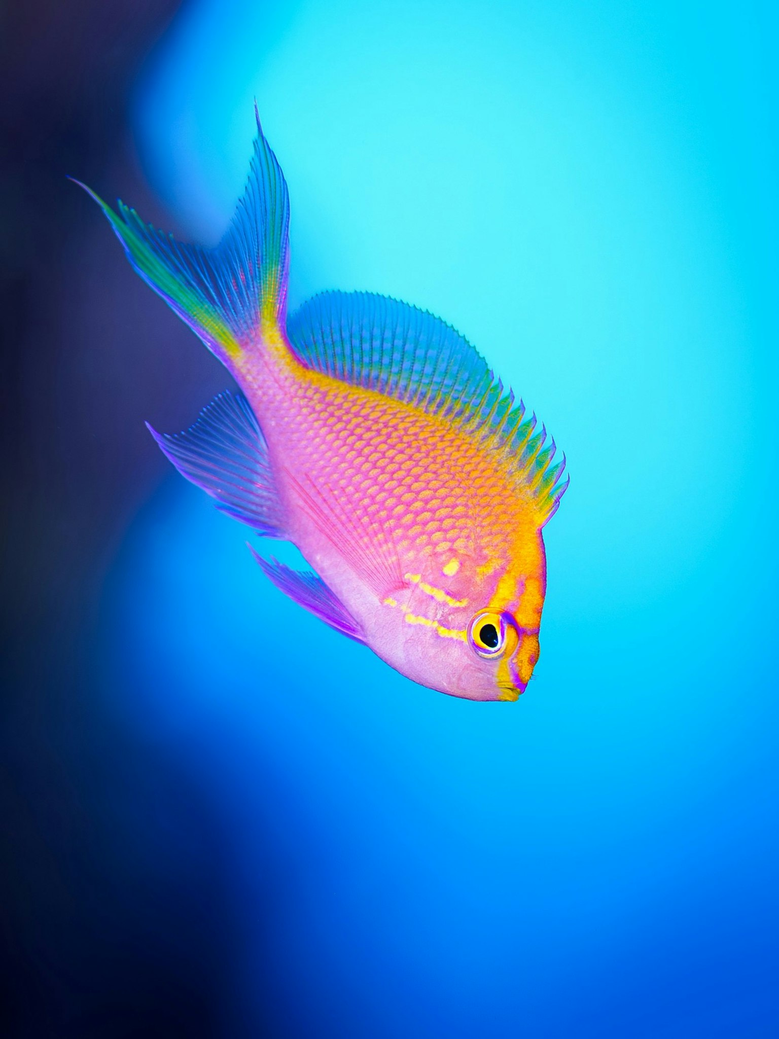 2025-04-masa-10-questions-image-8