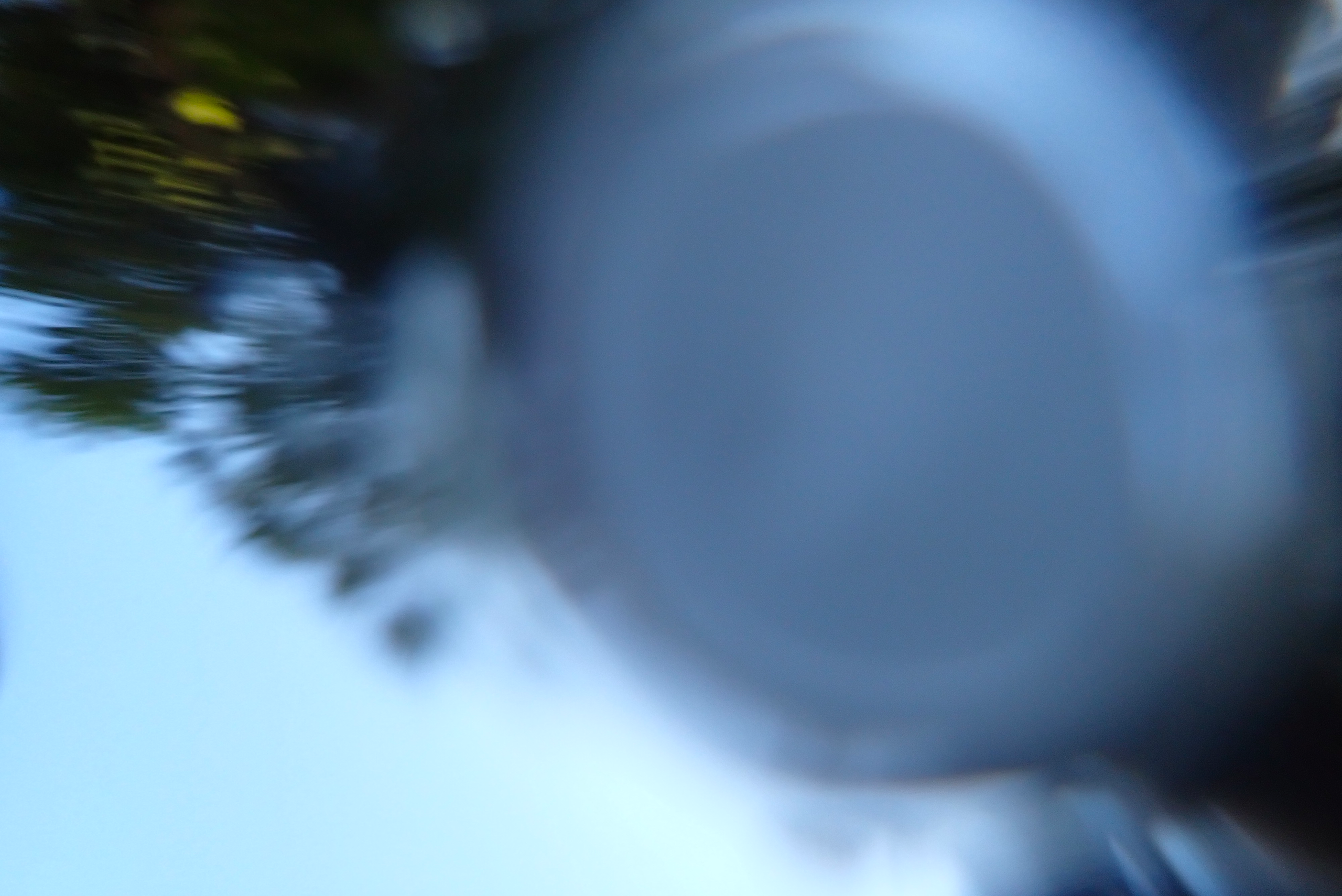 2023-08-dont-think-just-shoot-award-image-10