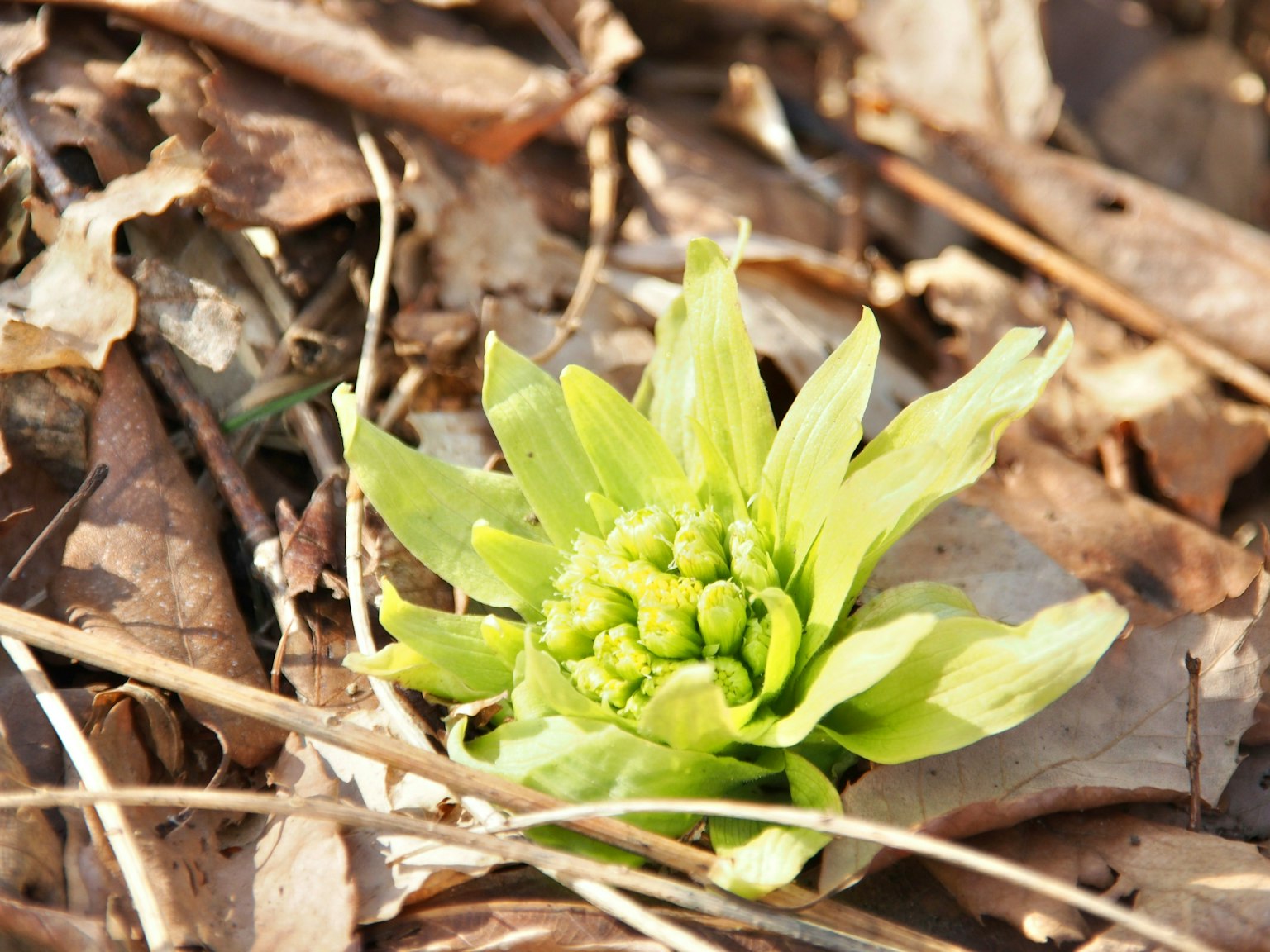 2025-04-spring-report-image-9