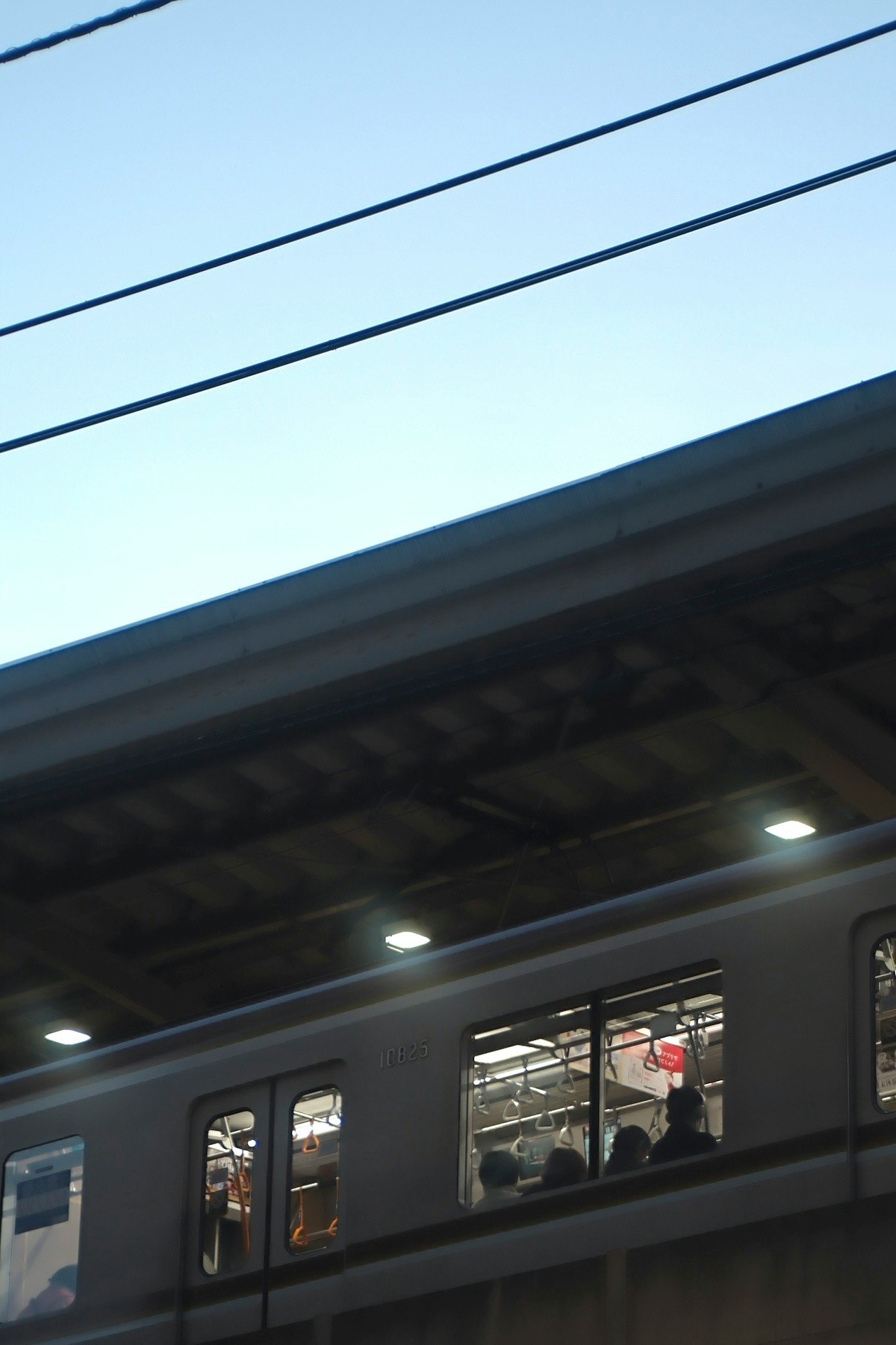2026-02-pick-up-photos-no-310-314-image-5