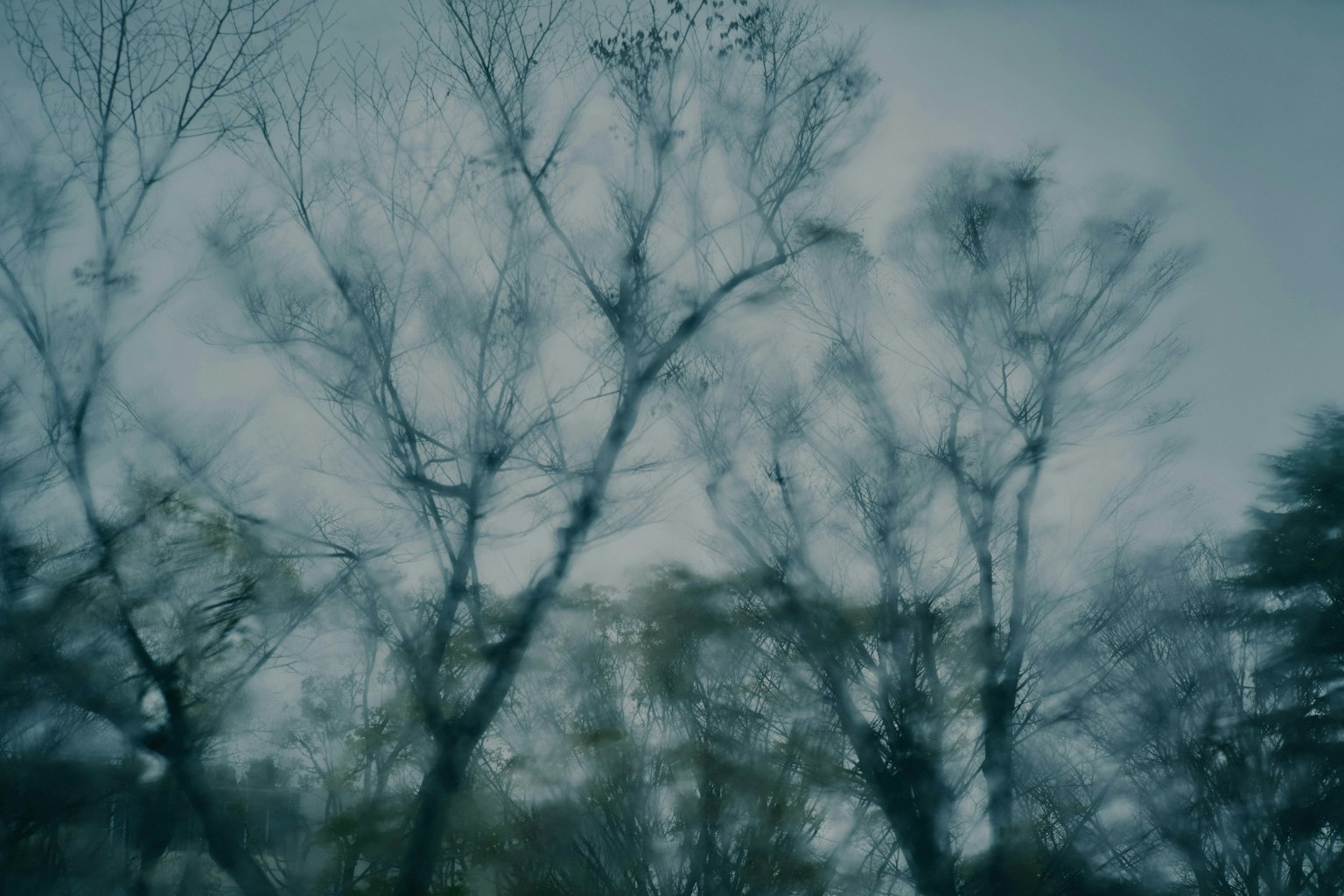 2025-04-photo-contest-pr-1-image-24