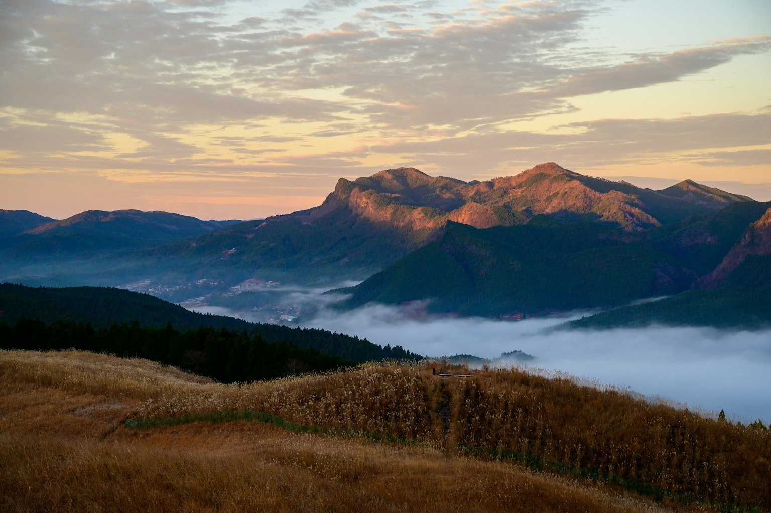 2025-03-encounter-with-camera-image-15