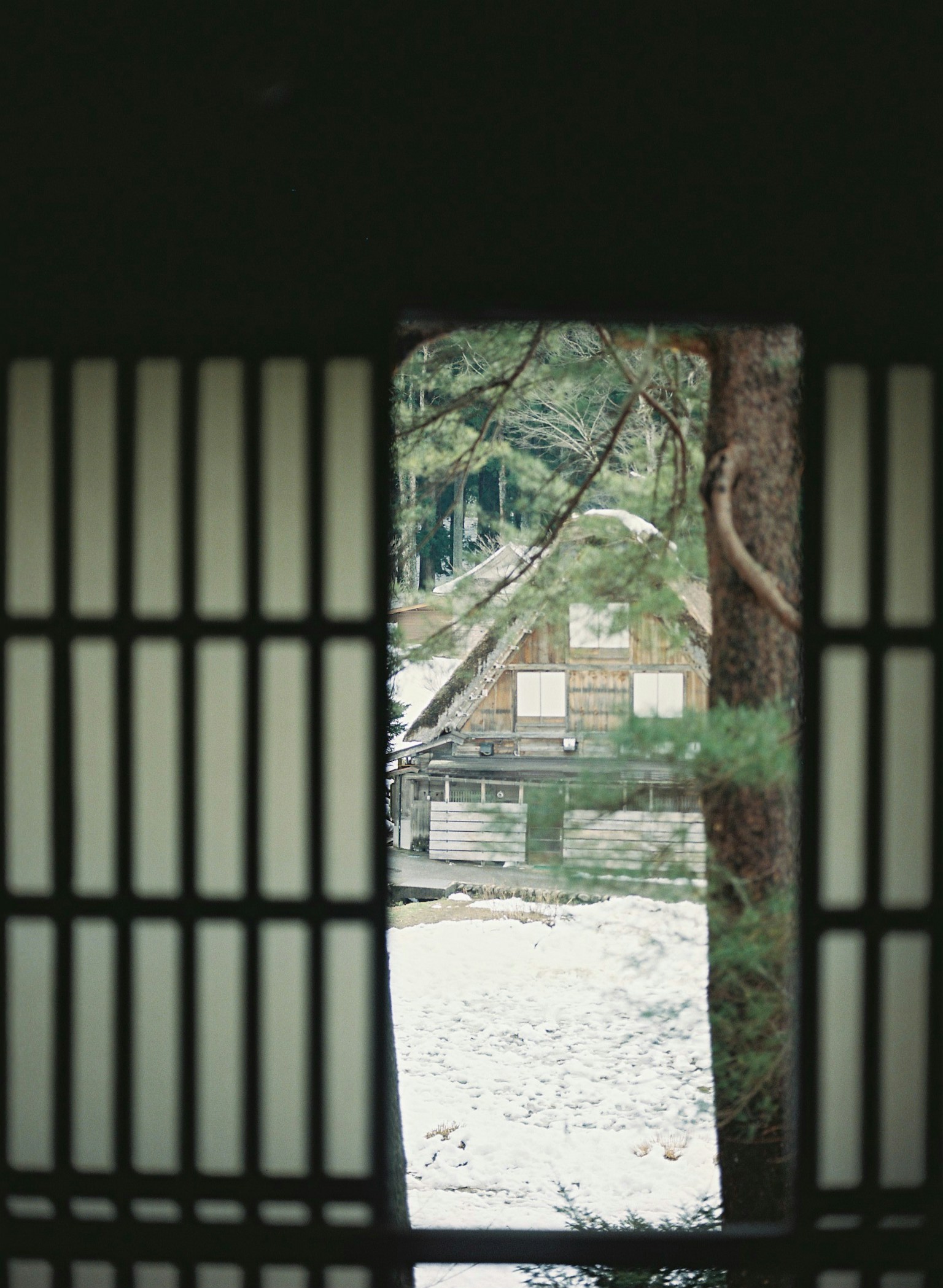 2024-06-perfect-films-developing-image-6