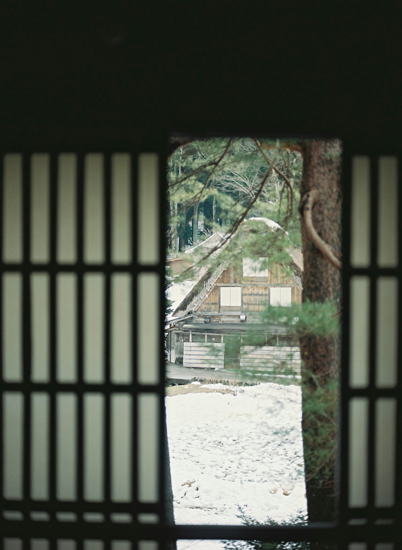 2024-06-perfect-films-developing-image-6