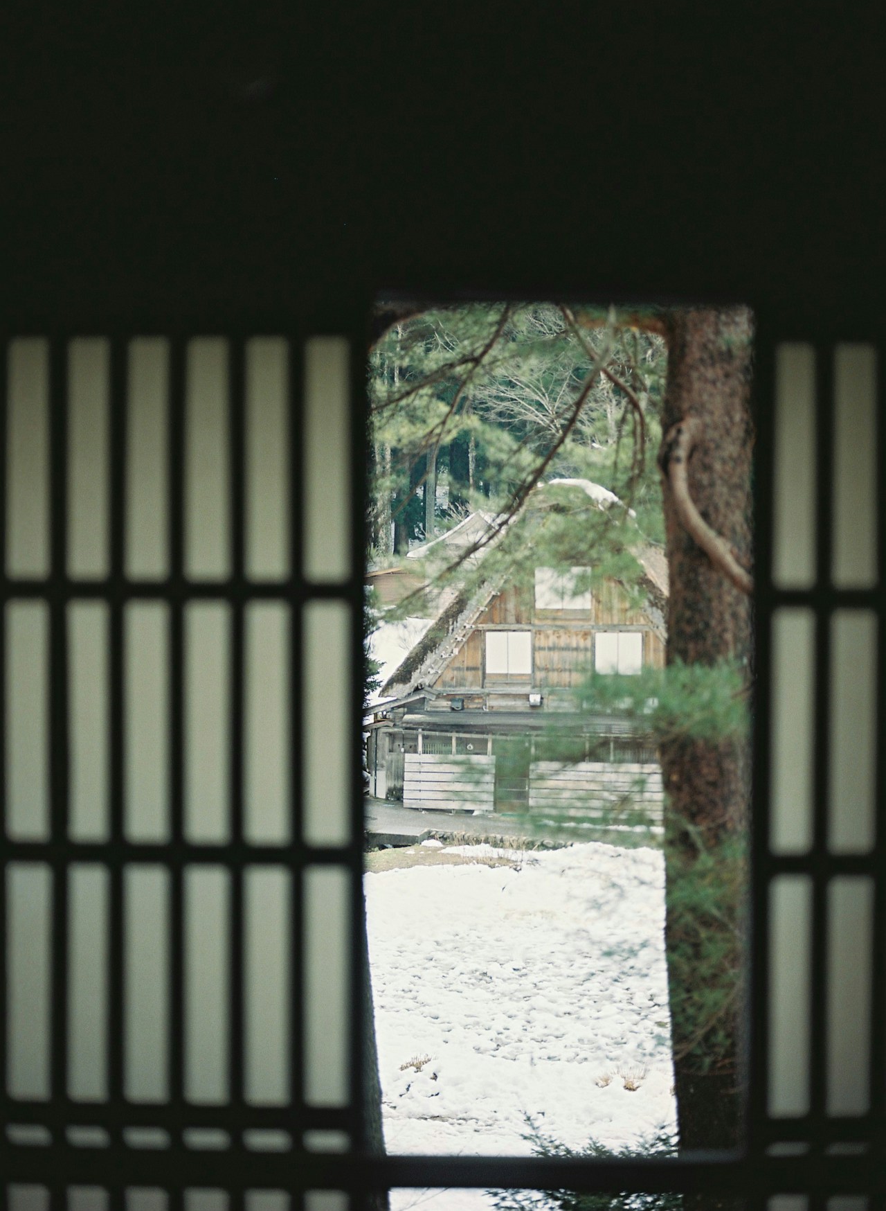 Image by Sentimental_Jong