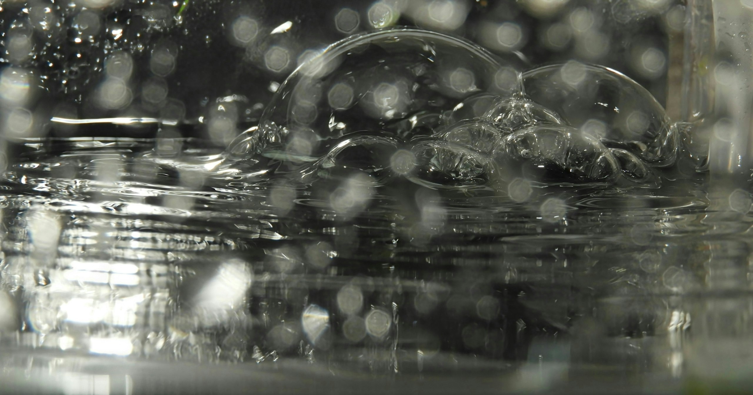 2025-09-intentional-water-cover-image