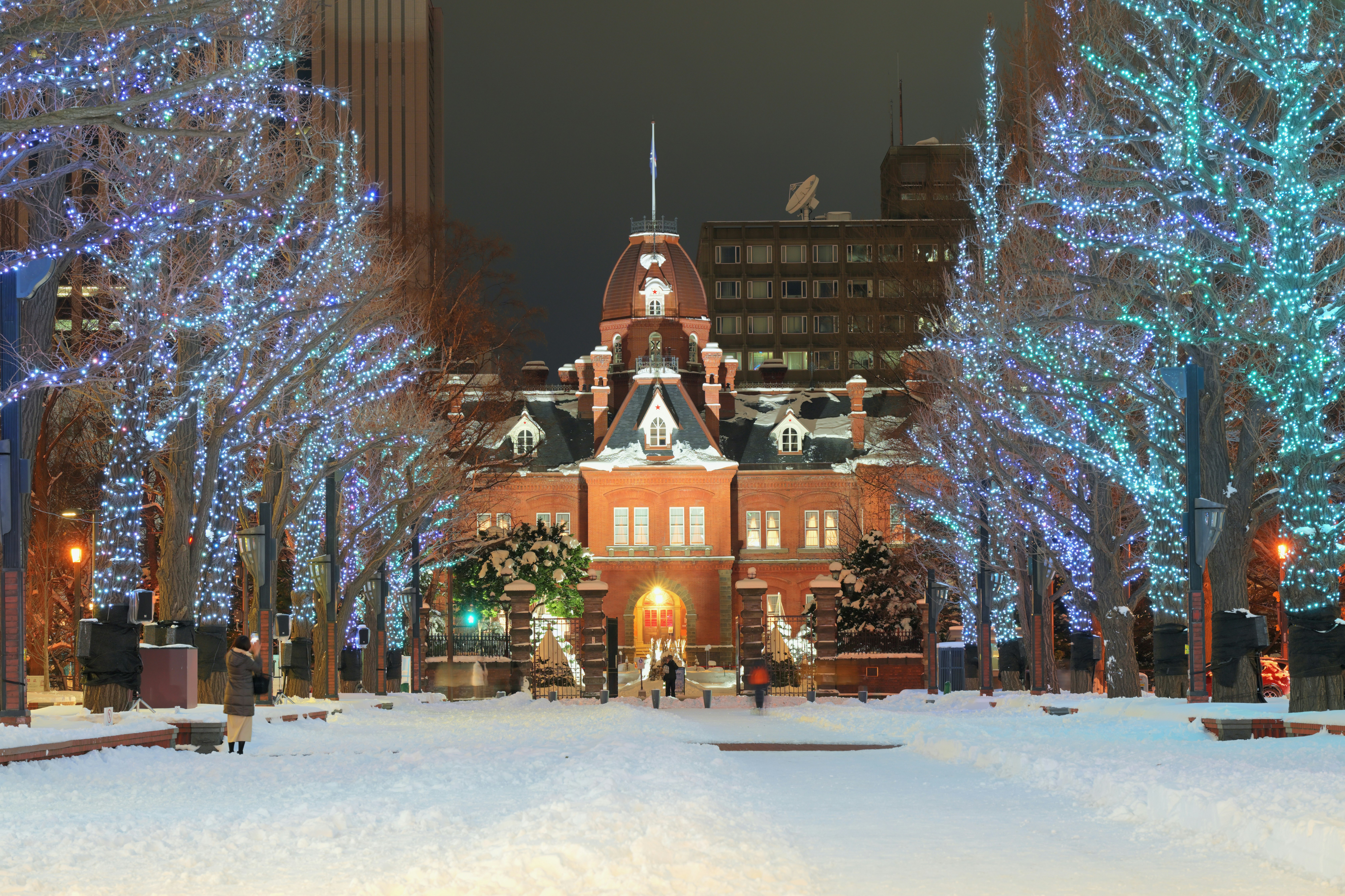 2025-12-christmas-image-6