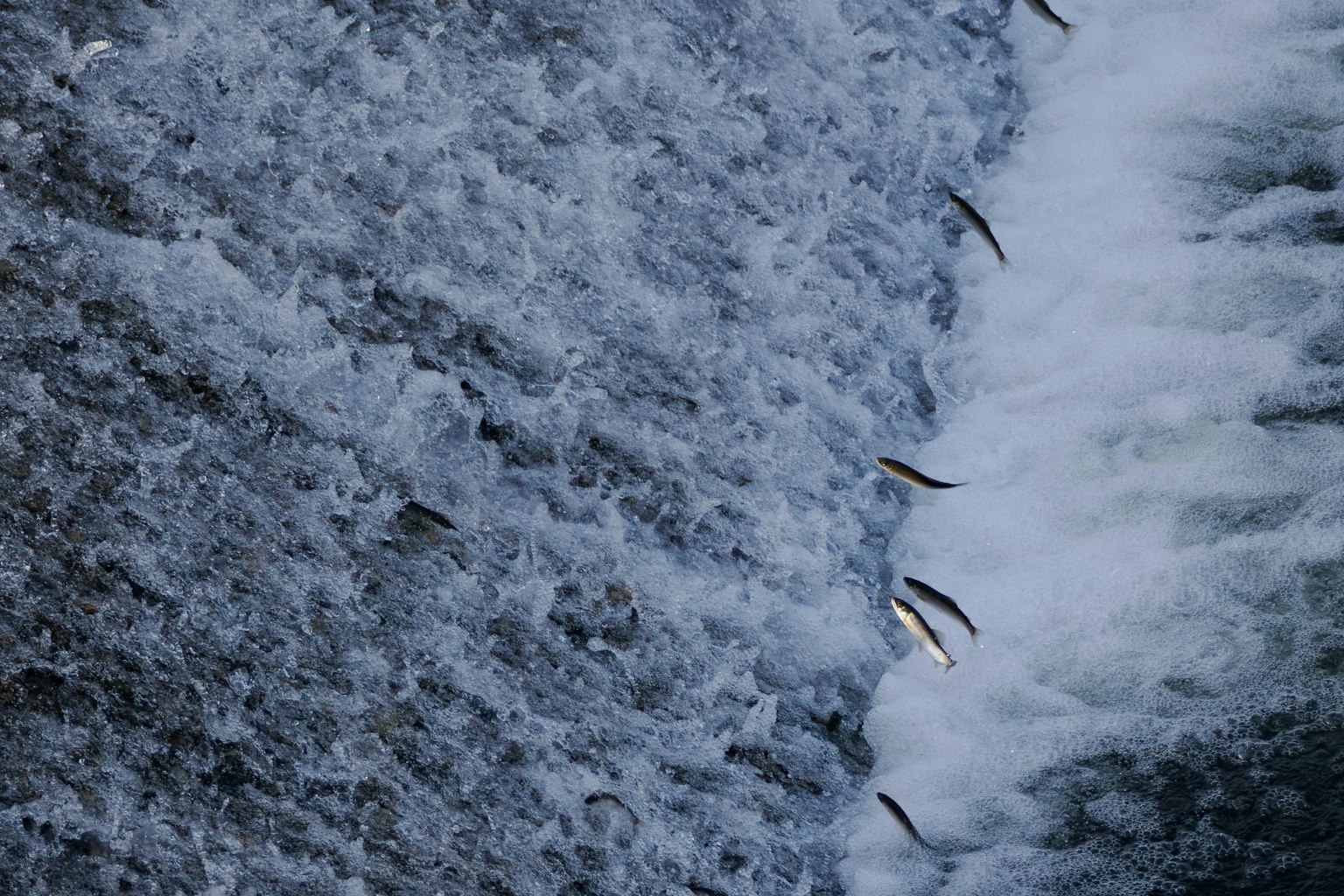 2024-06-water-scenes-image-6