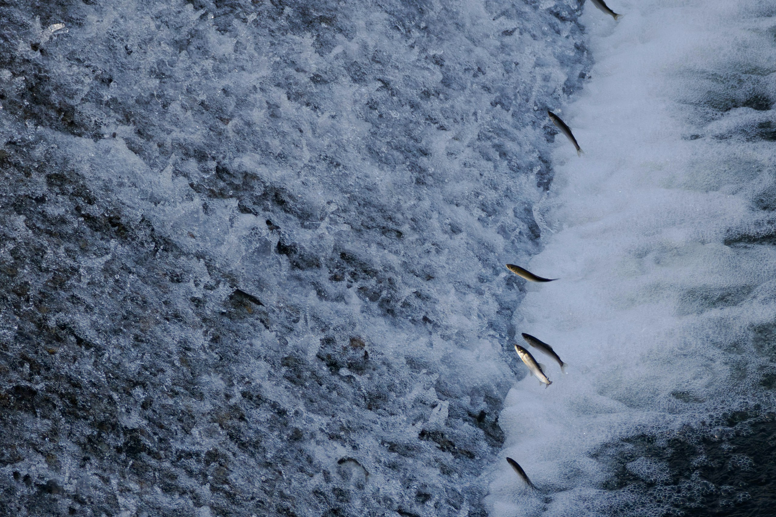 2024-06-water-scenes-image-6