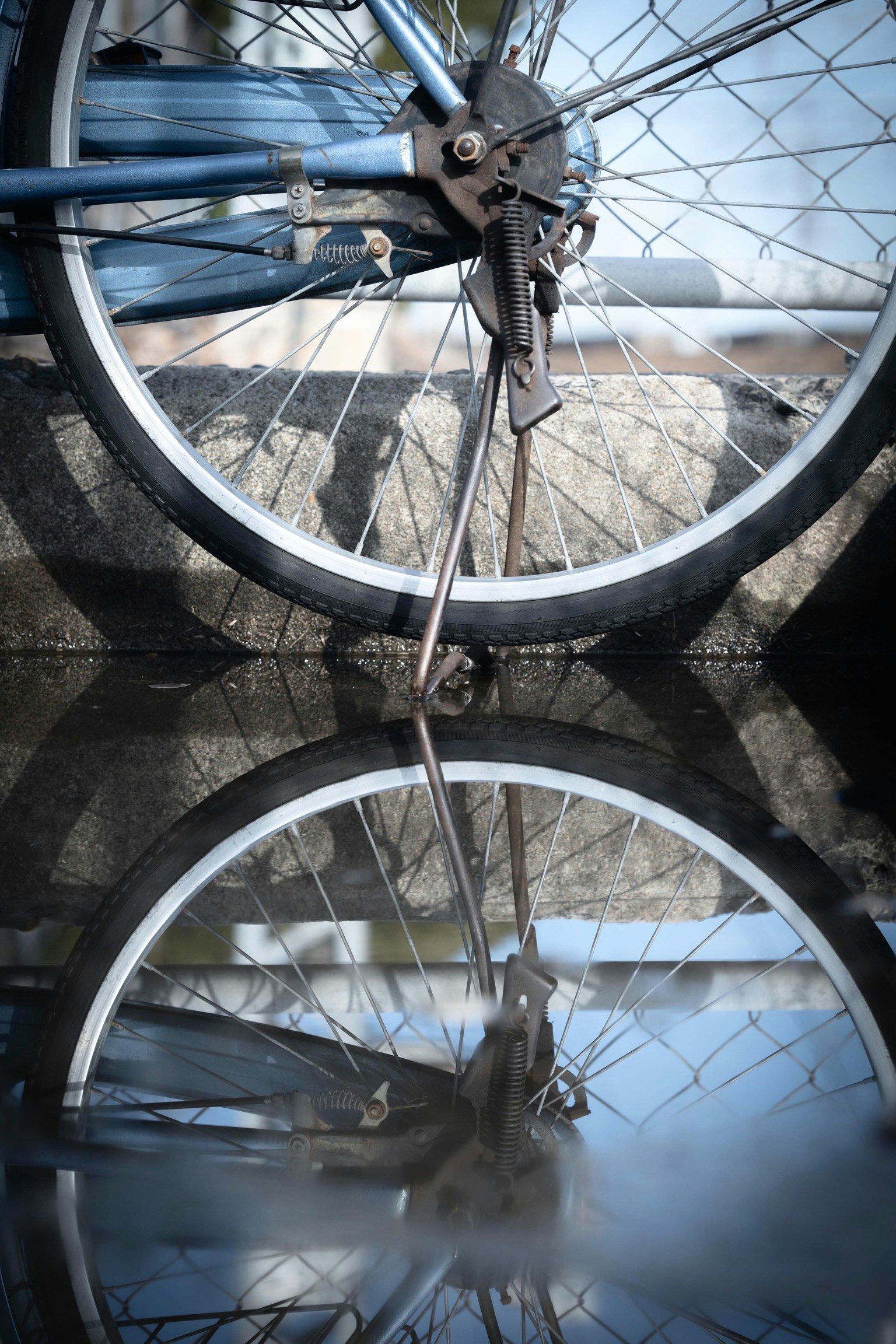 2024-06-reflection-photography-image-21