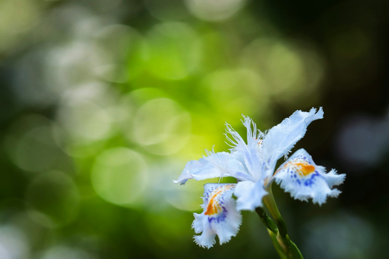 Photo by ス・ギー