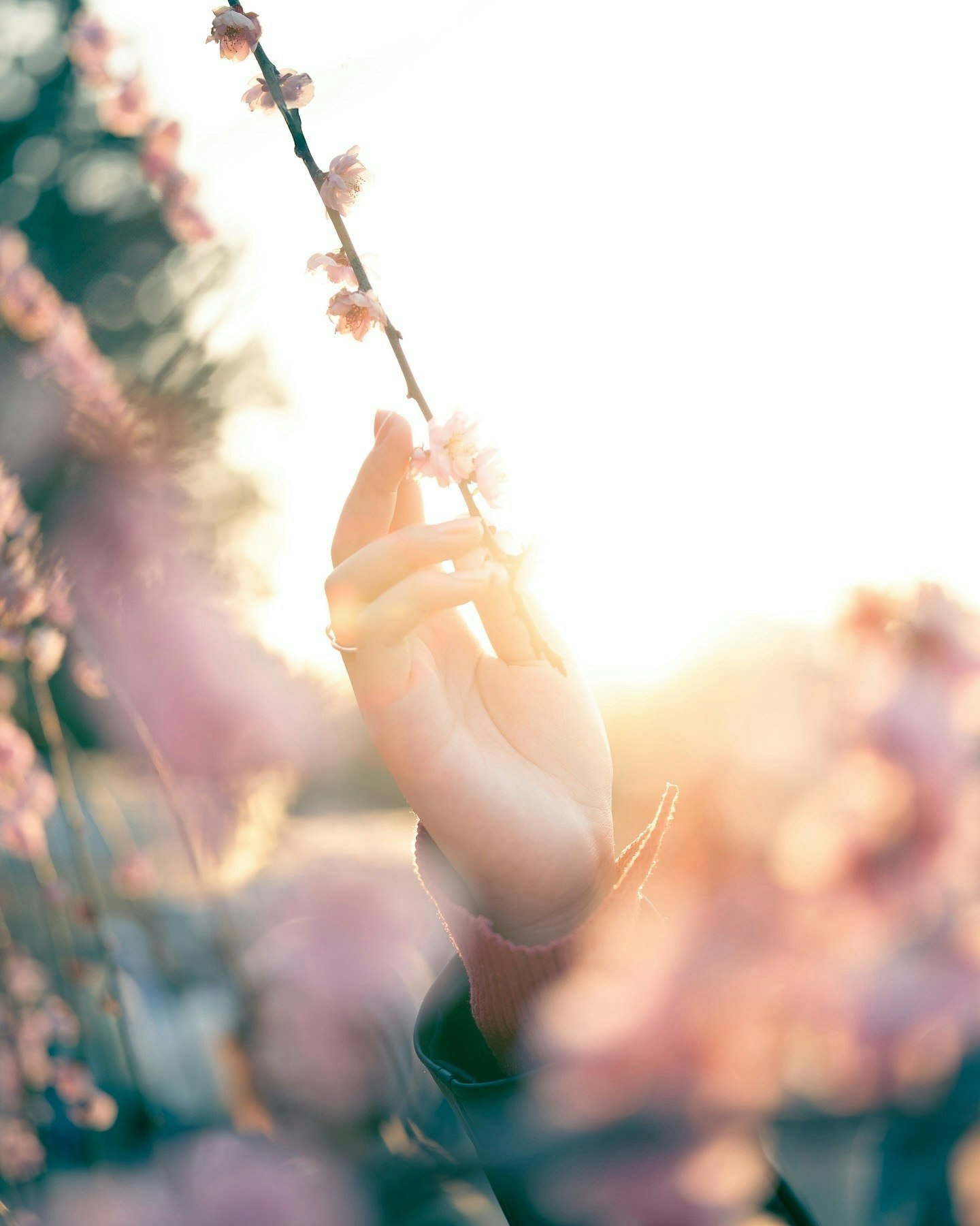 2025-11-magic-of-backlighting-image-11