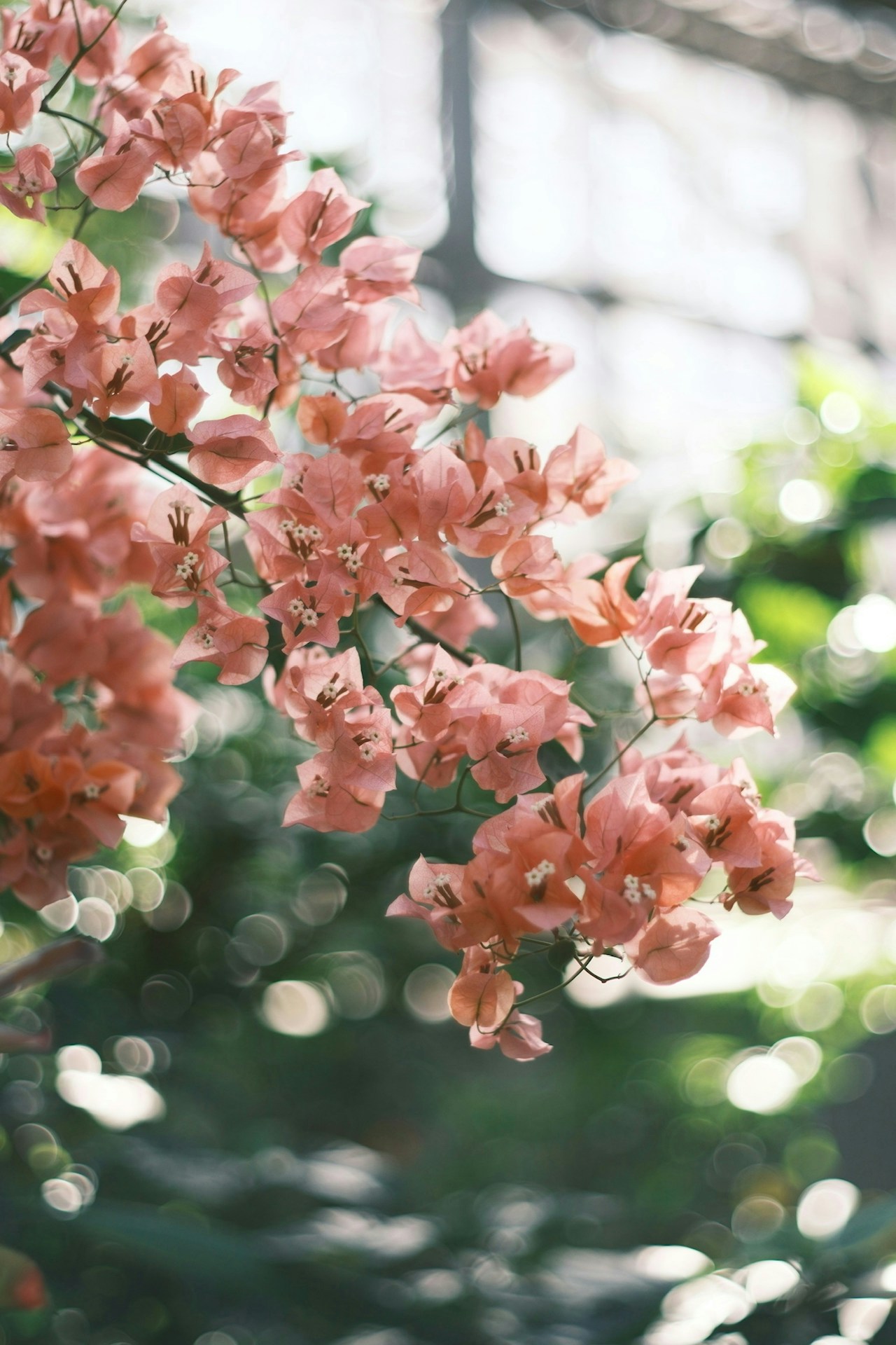 Photo by なな