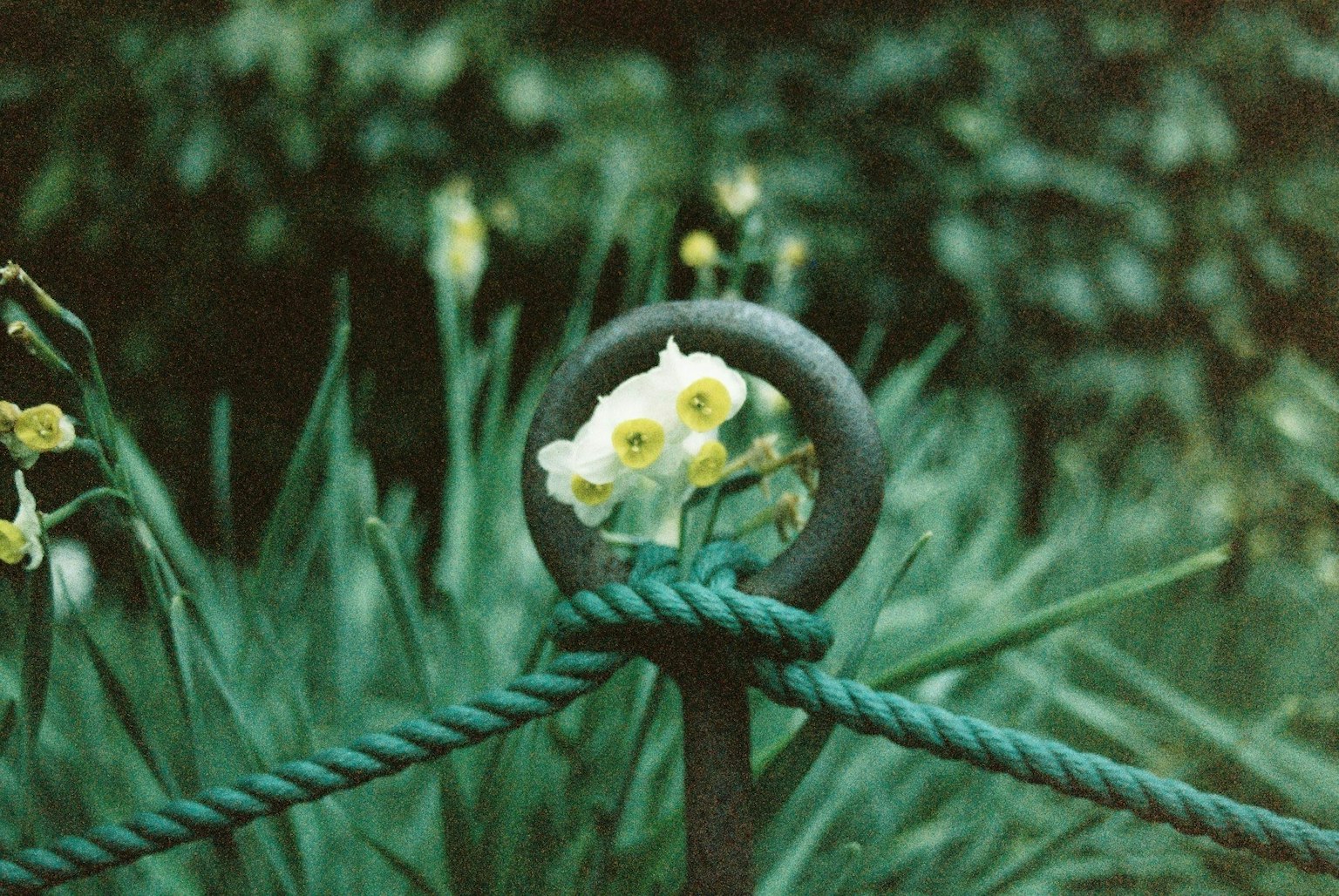 2025-04-oshanpo-image-6