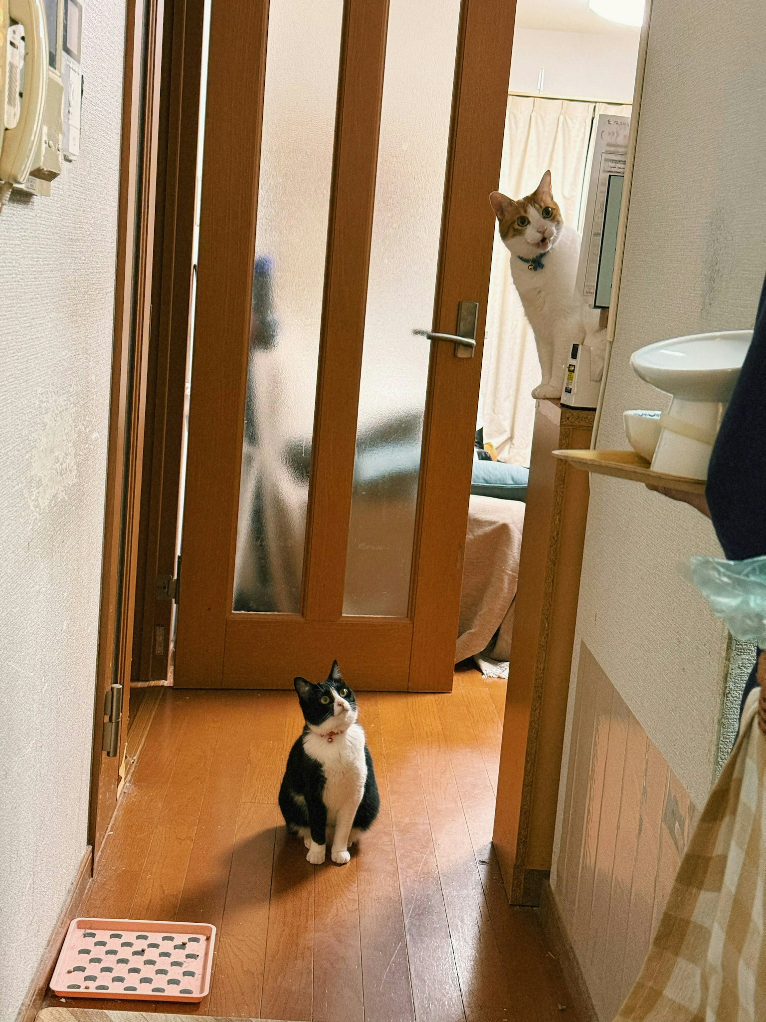 2025-06-something-echoes-award-image-8