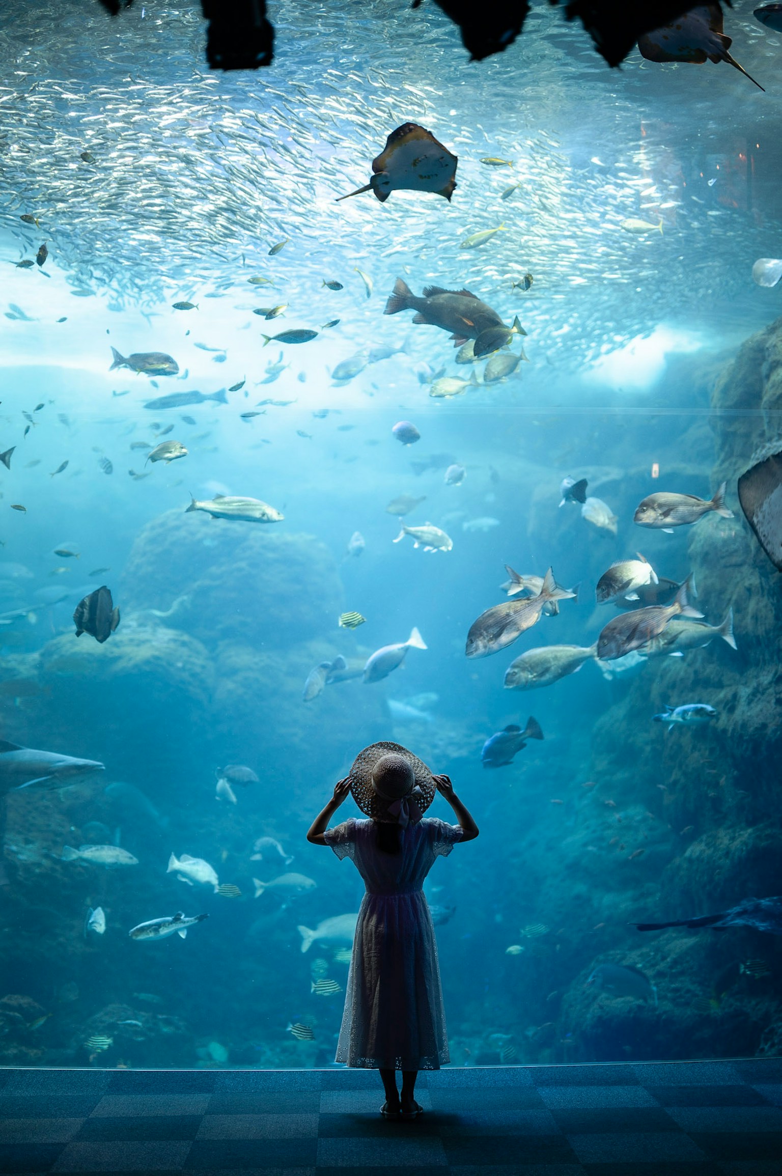 2024-05-aquarium-image-4