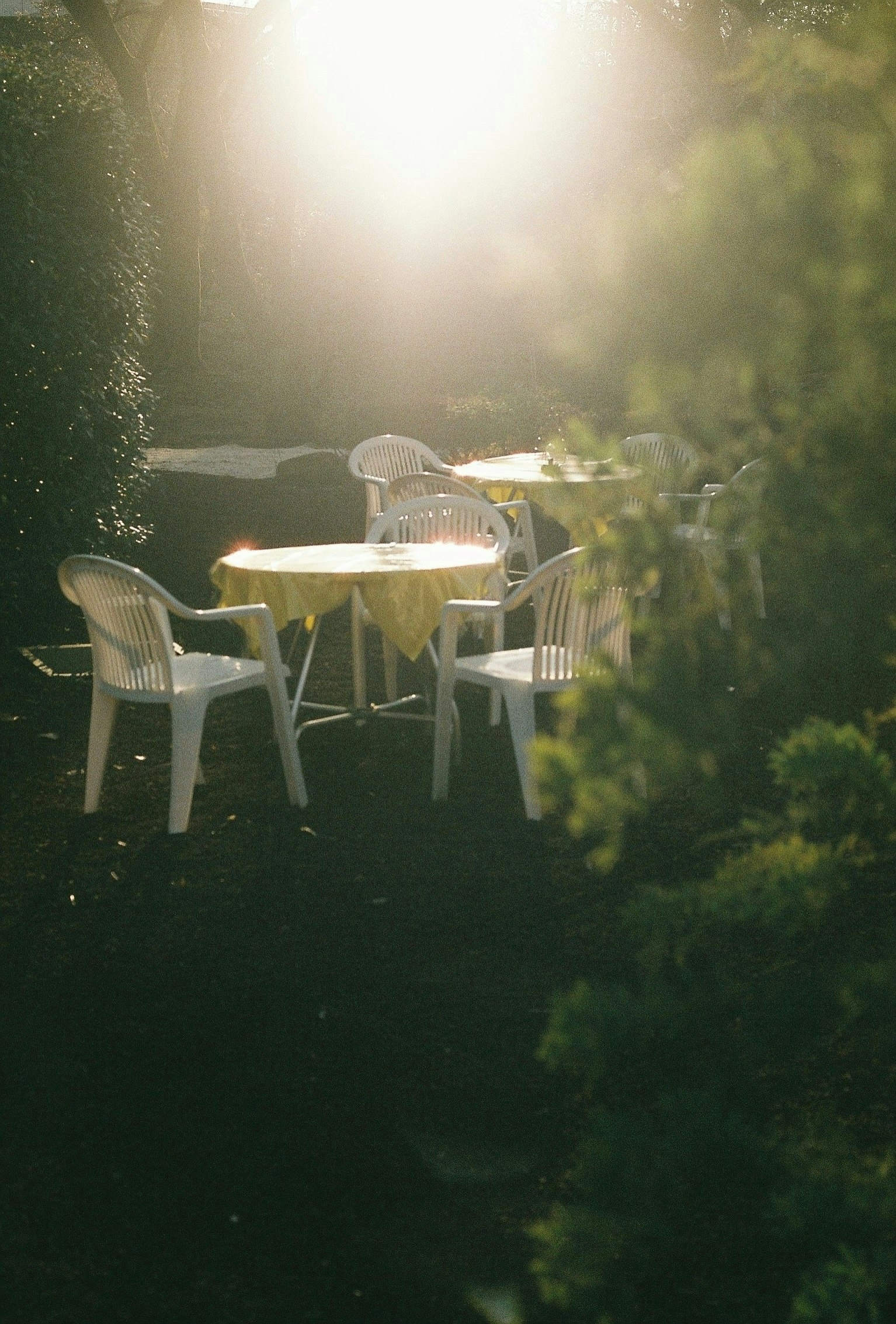 2025-08-film-renaissance-image-6