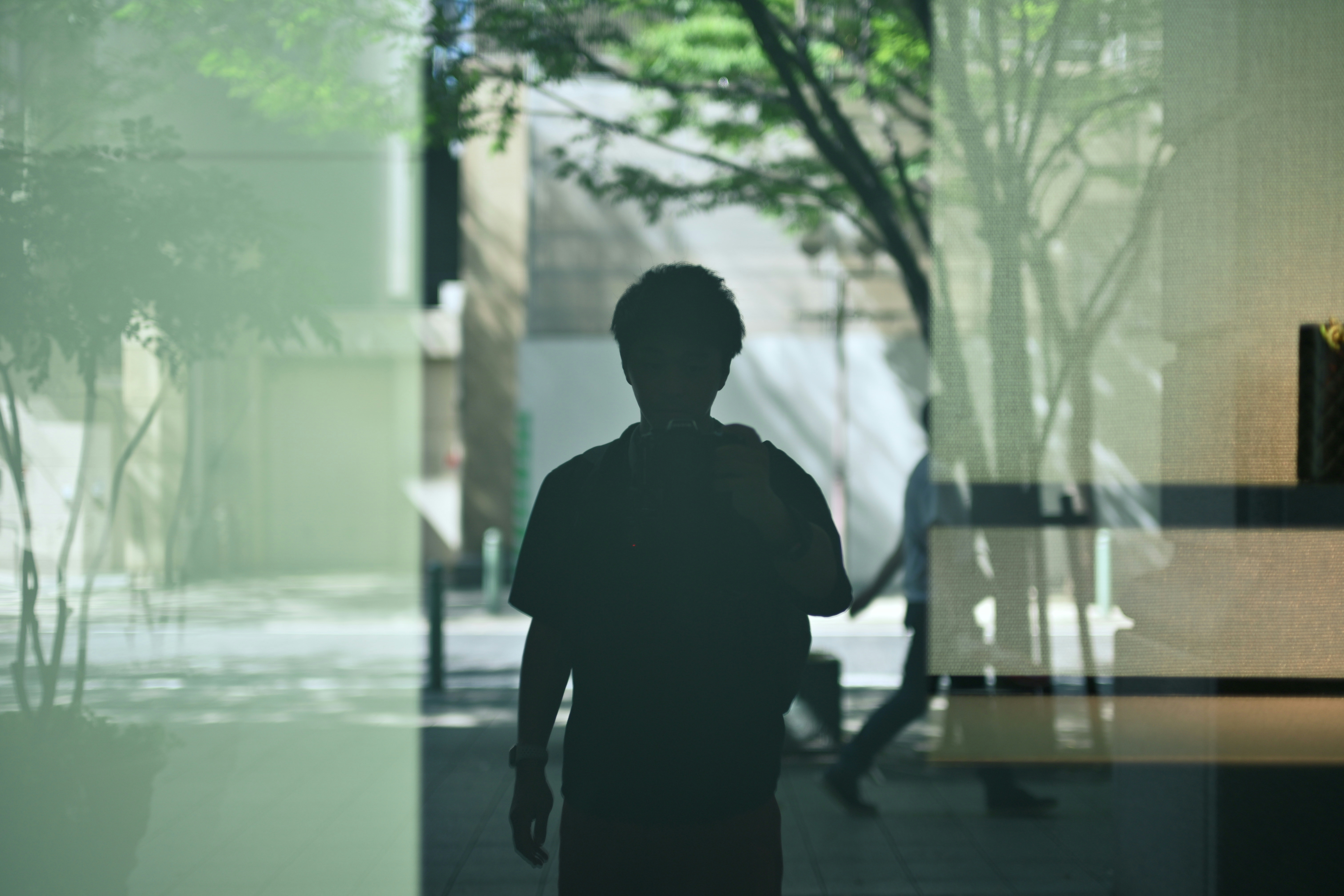 2026-01-selfies-with-my-camera-cover-image