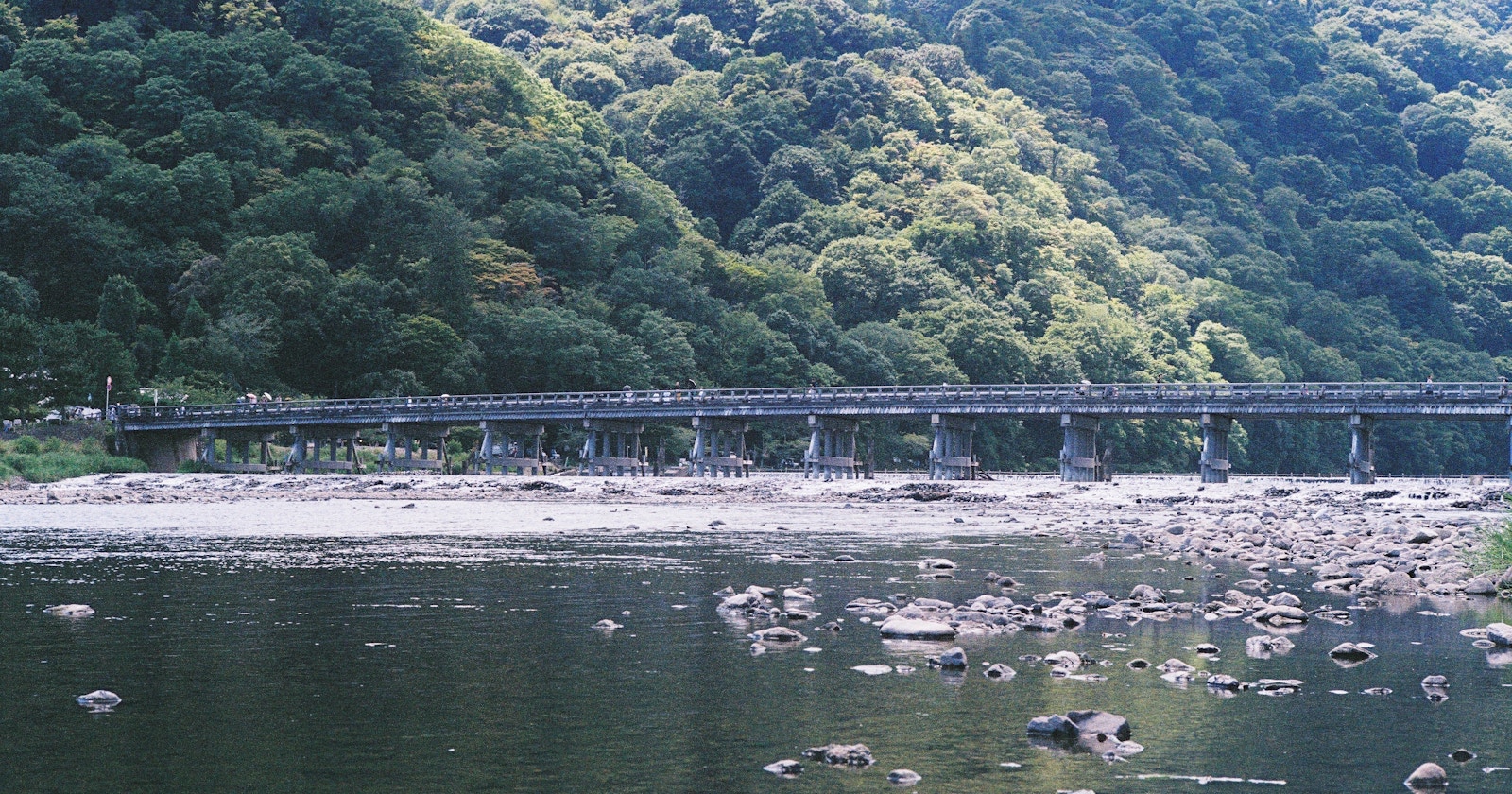 写真に新たな命を吹き込む、Fujifilmフィルムシミュレーション | Release #316