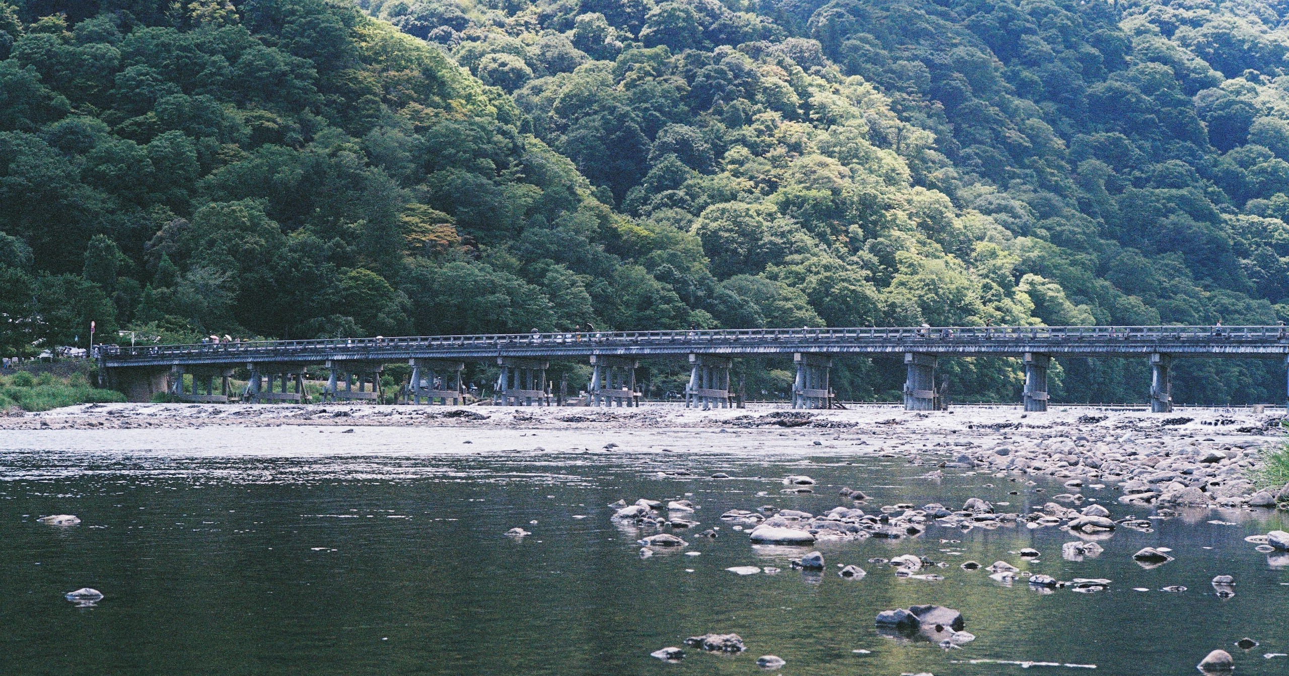 写真に新たな命を吹き込む、Fujifilmフィルムシミュレーション | Release #316