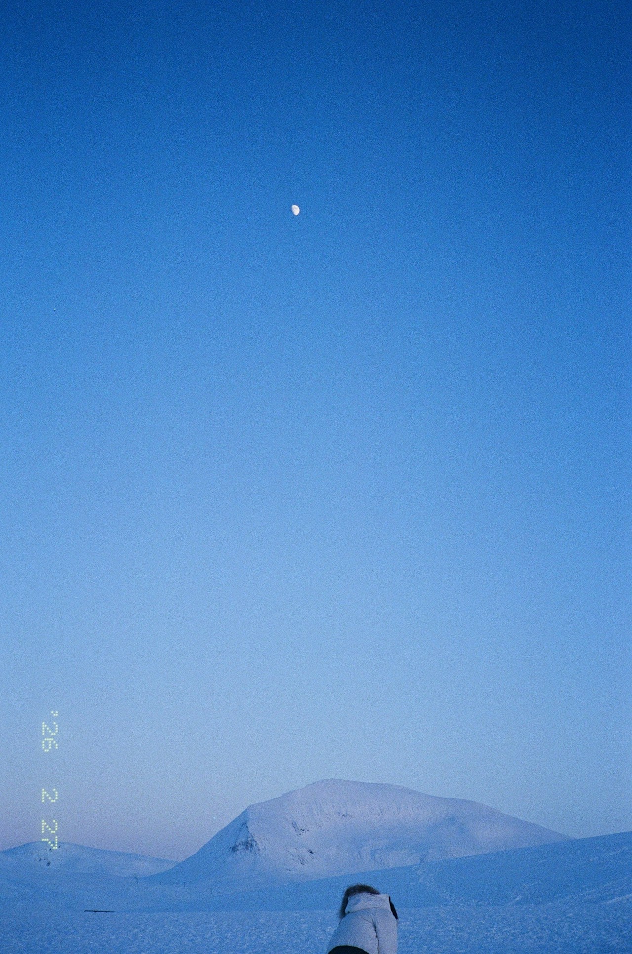 Photo by wannya1529